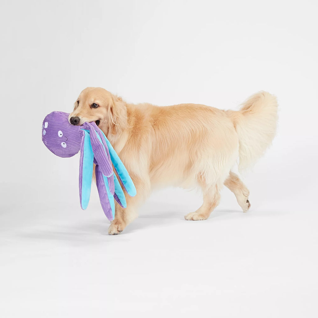 Joyhound Bite Shield Protection Plush Octopus Dog Toy - Squeaker, Crinkle