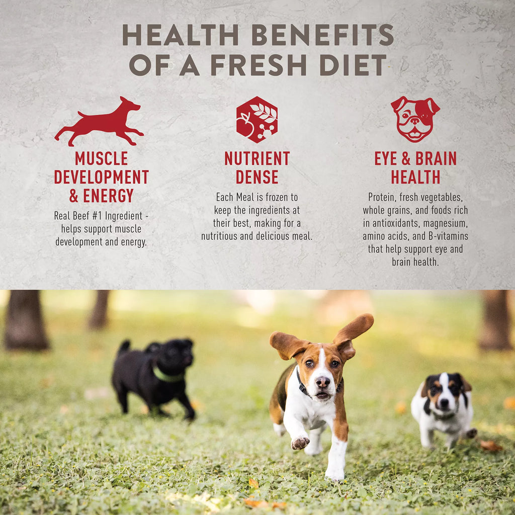 Simply Nourish Fresh Market Adult Frozen Dog Food - Beef & Barley