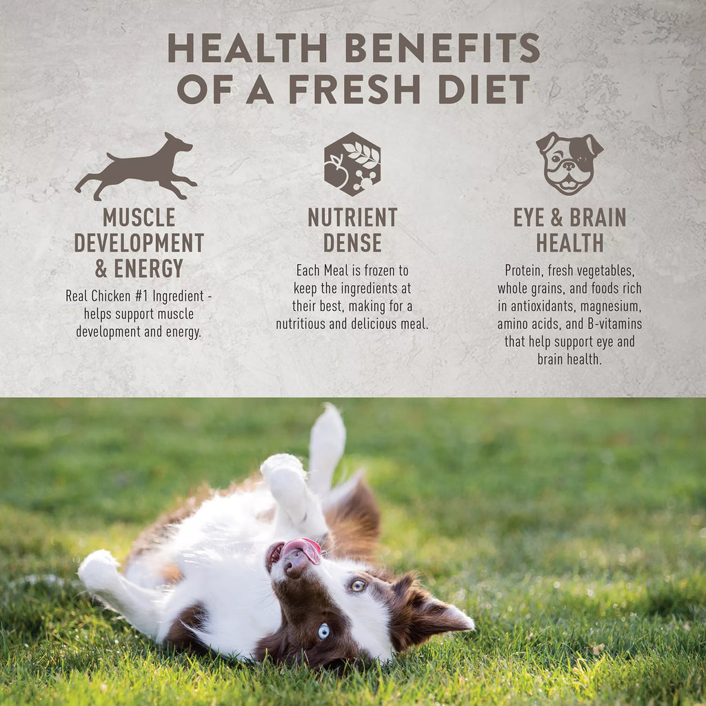 Simply Nourish Fresh Market Adult Frozen Dog Food - Chicken & Vegetable