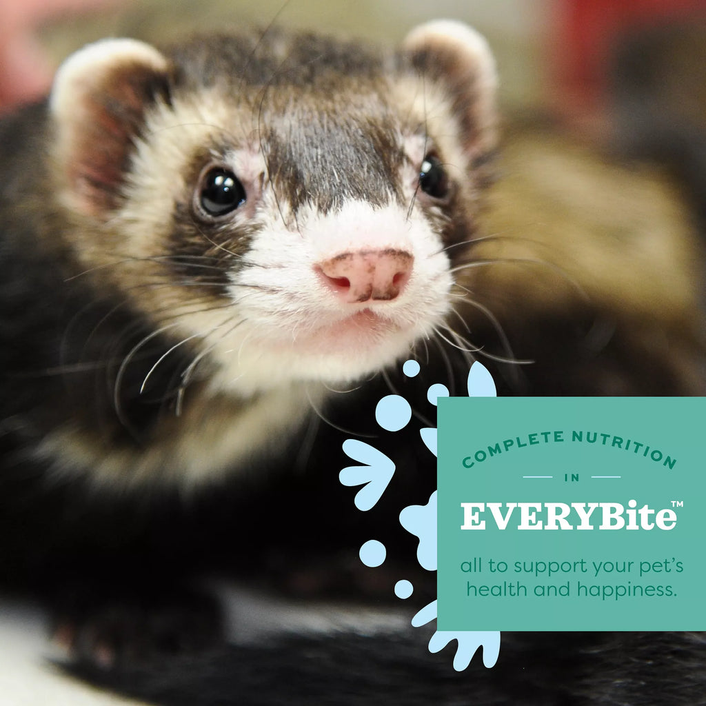 Oxbow Essentials Ferret Pellets - 4lb