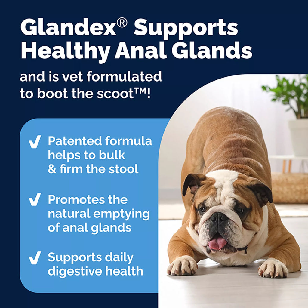 Vetnique Labs Glandex Boot the Scoot Advanved Vet Strength Anal Gland Soft Chew Dog Supplement