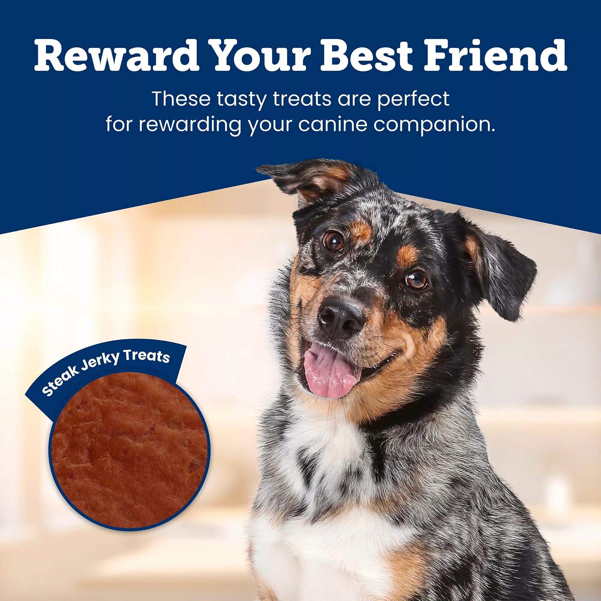 Blue Buffalo True Chews Premium Jerky Cuts All Life Stages Dog Treats - Steak