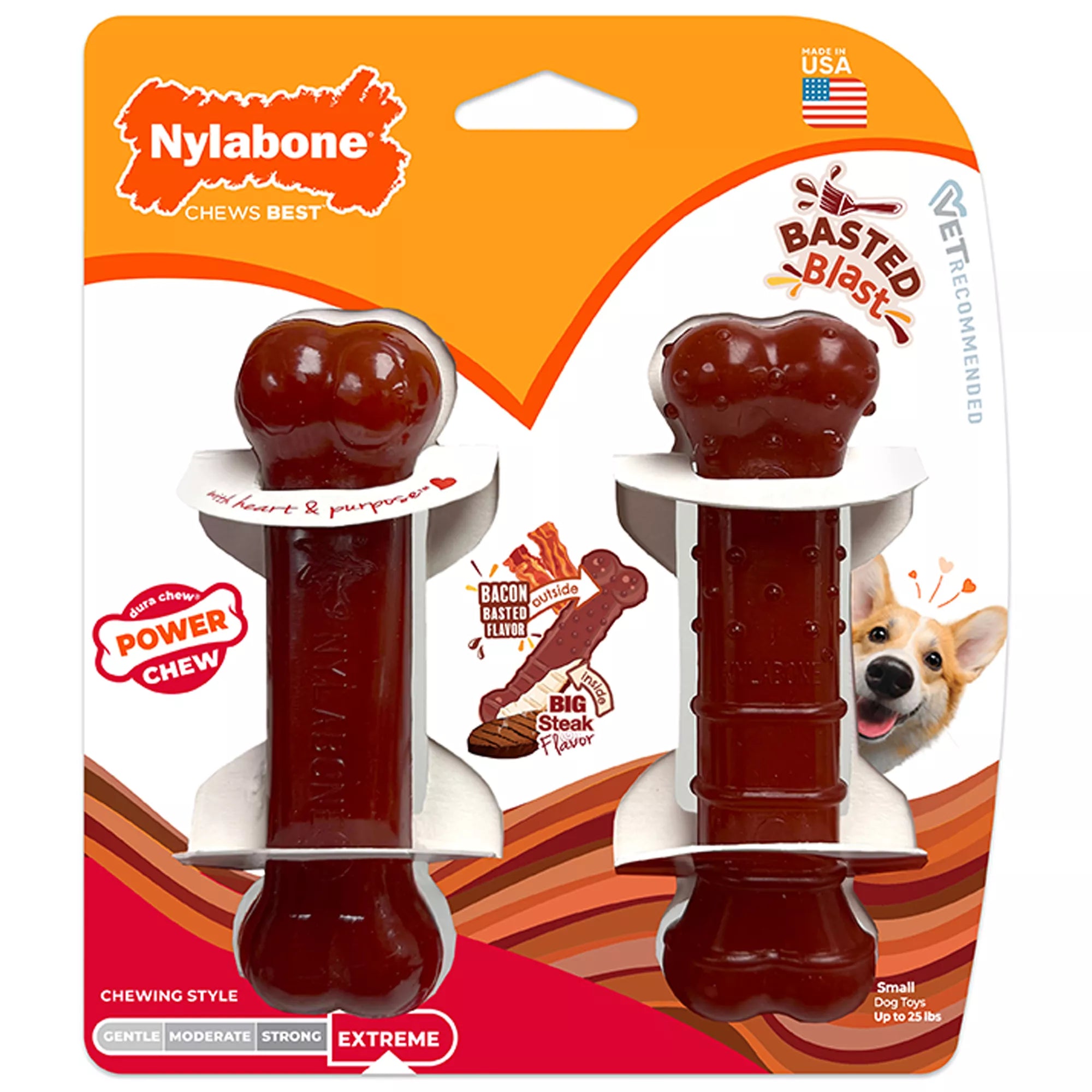 Nylabone Power Chew Basted Blast Dog Toy - 2 Pack, Bacon & Steak Flavor