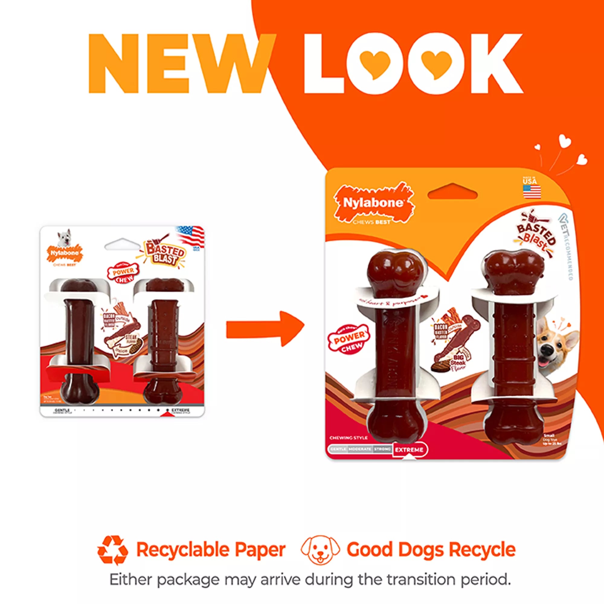 Nylabone Power Chew Basted Blast Dog Toy - 2 Pack, Bacon & Steak Flavor