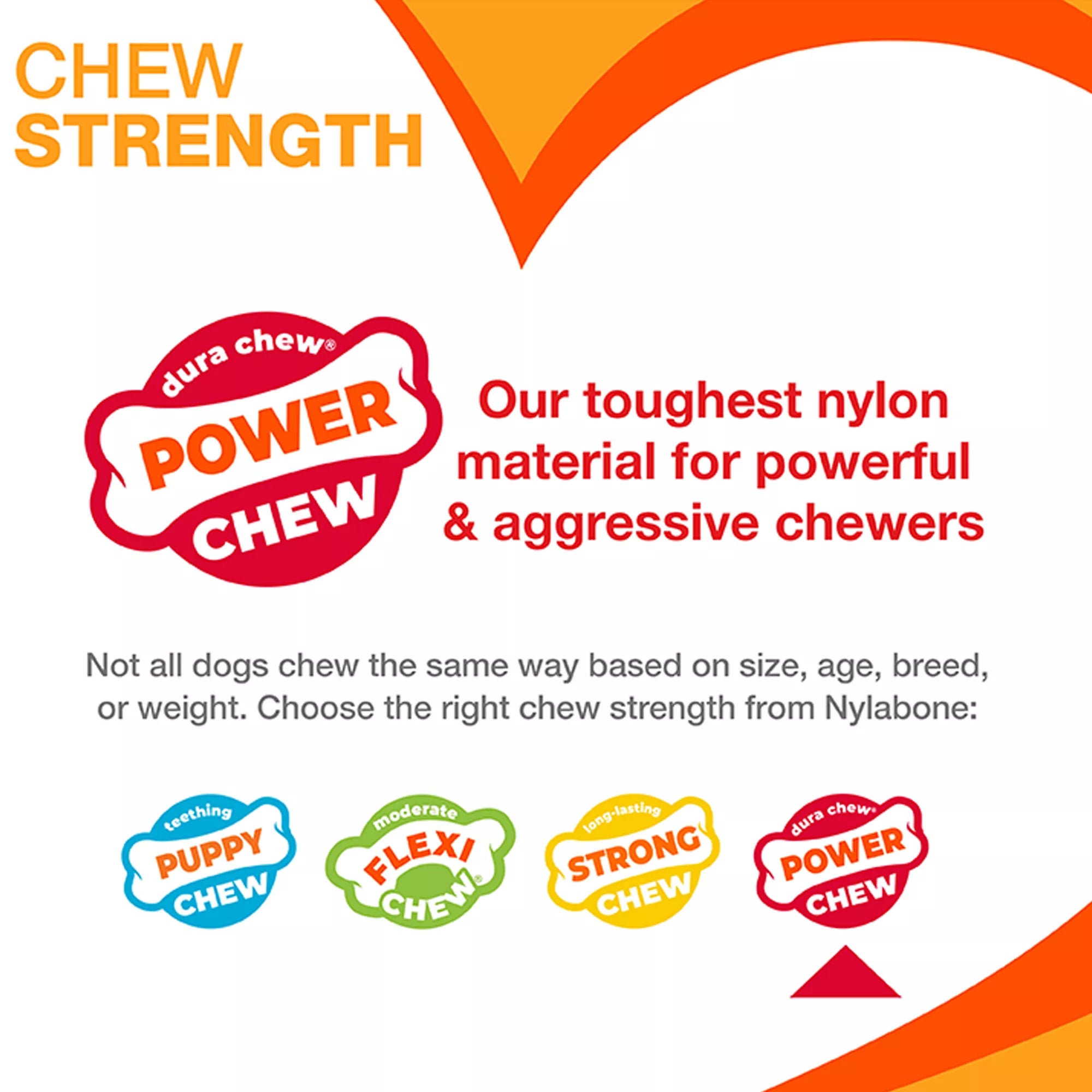Nylabone Power Chew Basted Blast Dog Toy - 2 Pack, Bacon & Steak Flavor