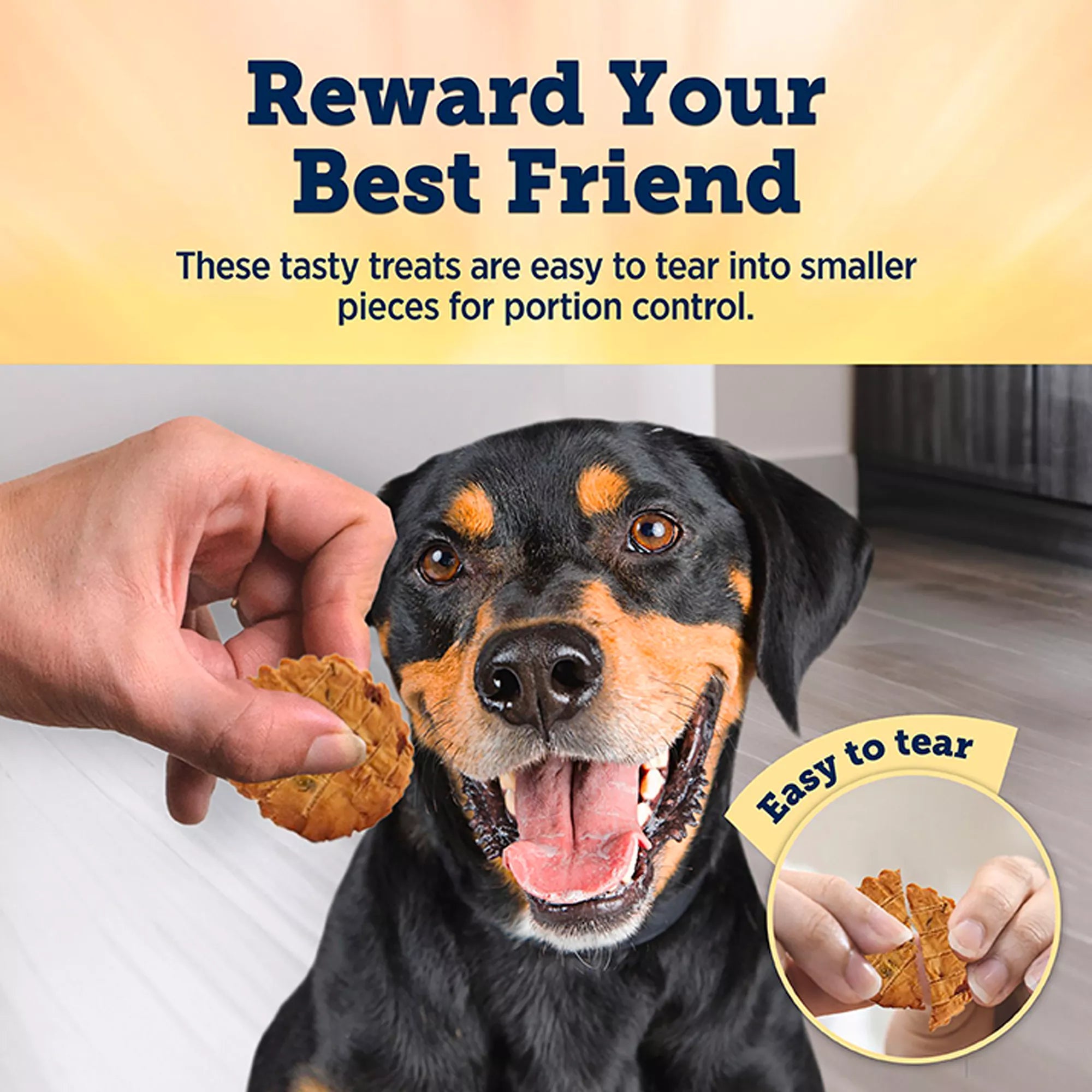 Blue Buffalo True Chews All Life Stages Dog Treats - Natural Pet Food, Chicken Pot Pie Recipe