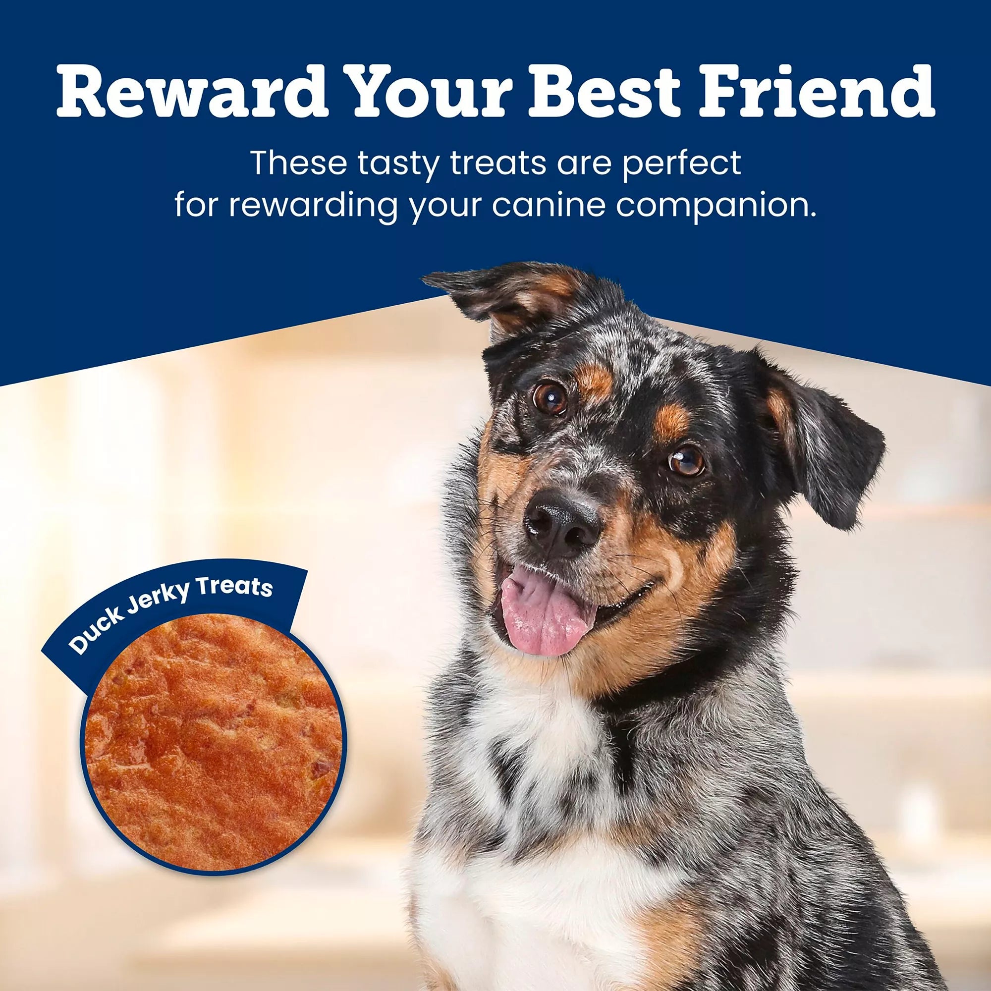 Blue Buffalo True Chews Premium Jerky Cuts All Life Stages Dog Treats - Chicken & Duck