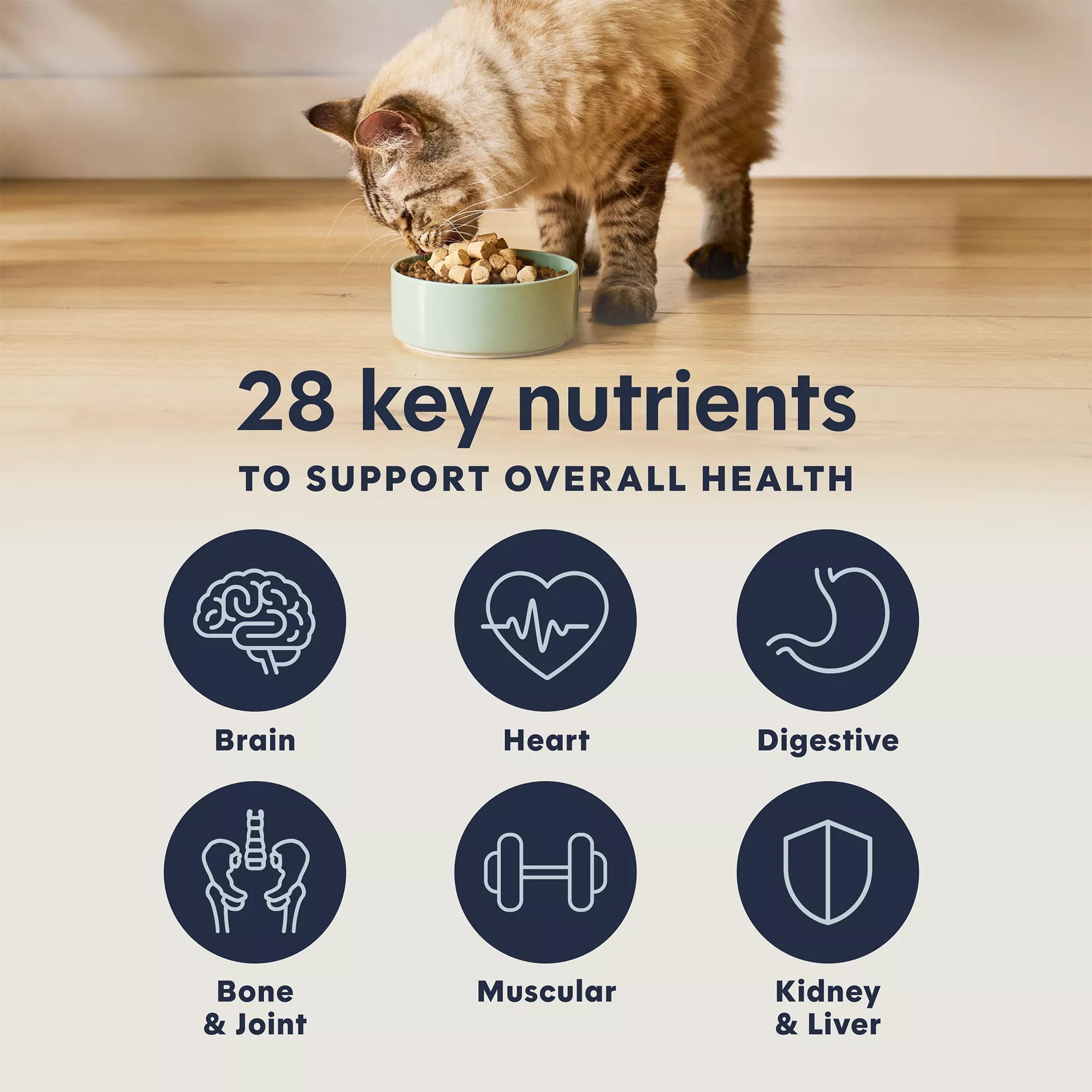 Instinct Rawboost Mixers Multivitamin Adult Freeze Dried Cat Food Topper - Natural Pet Food, Grain-Free Pet Food