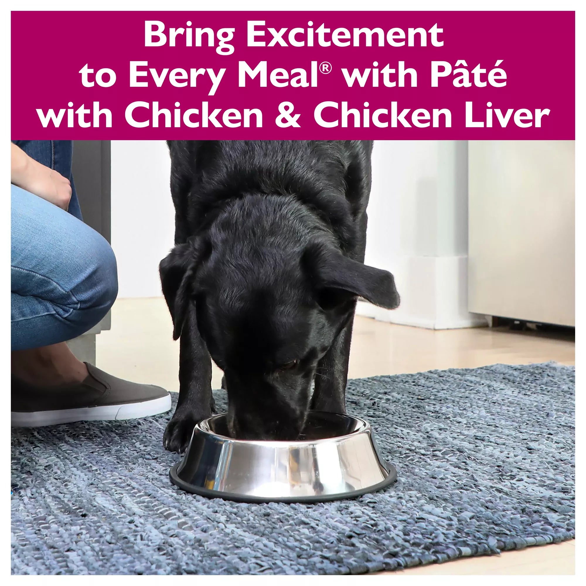 Bil-Jac Picky No More Pate Adult & Senior Dog Wet Food - 13 Oz.