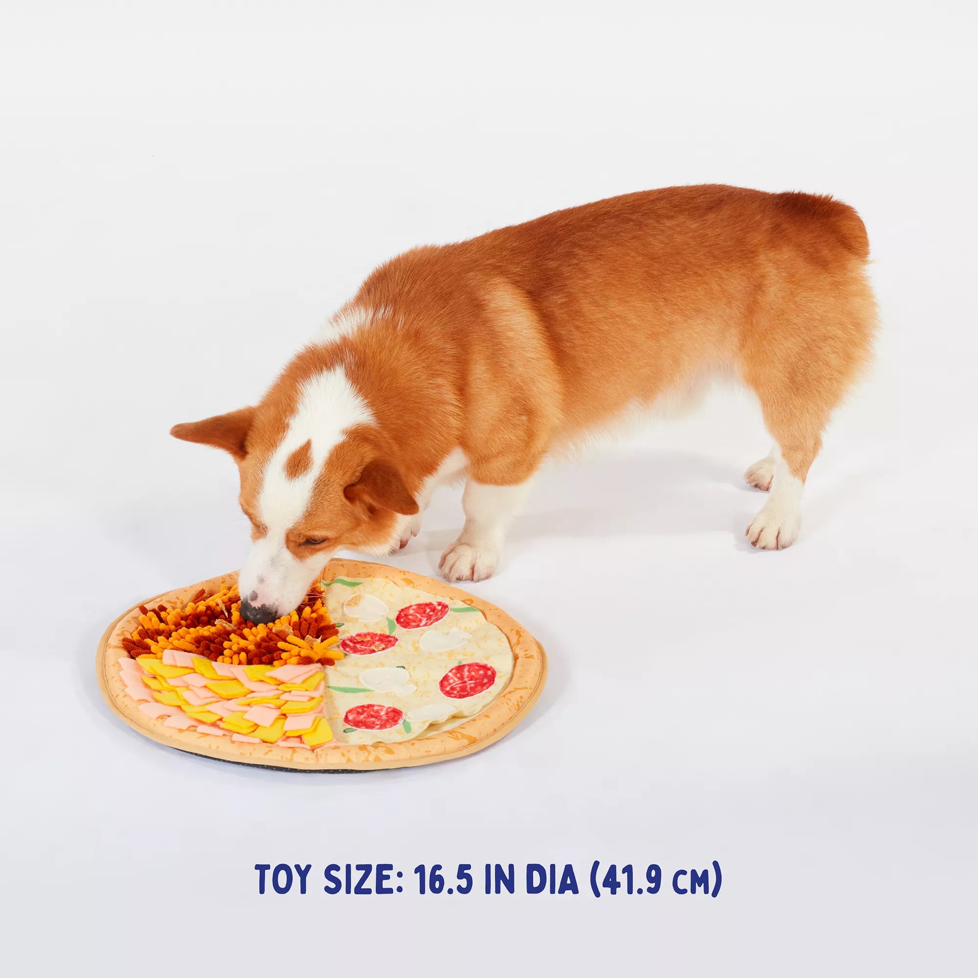 Joyhound Classroom Snuffle Puzzle Pizza Burrow & Play Mat Dog Toy