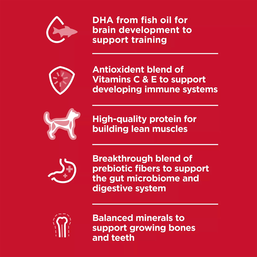 Hill's Science Diet Kitten Dy Food - Ocean Fish