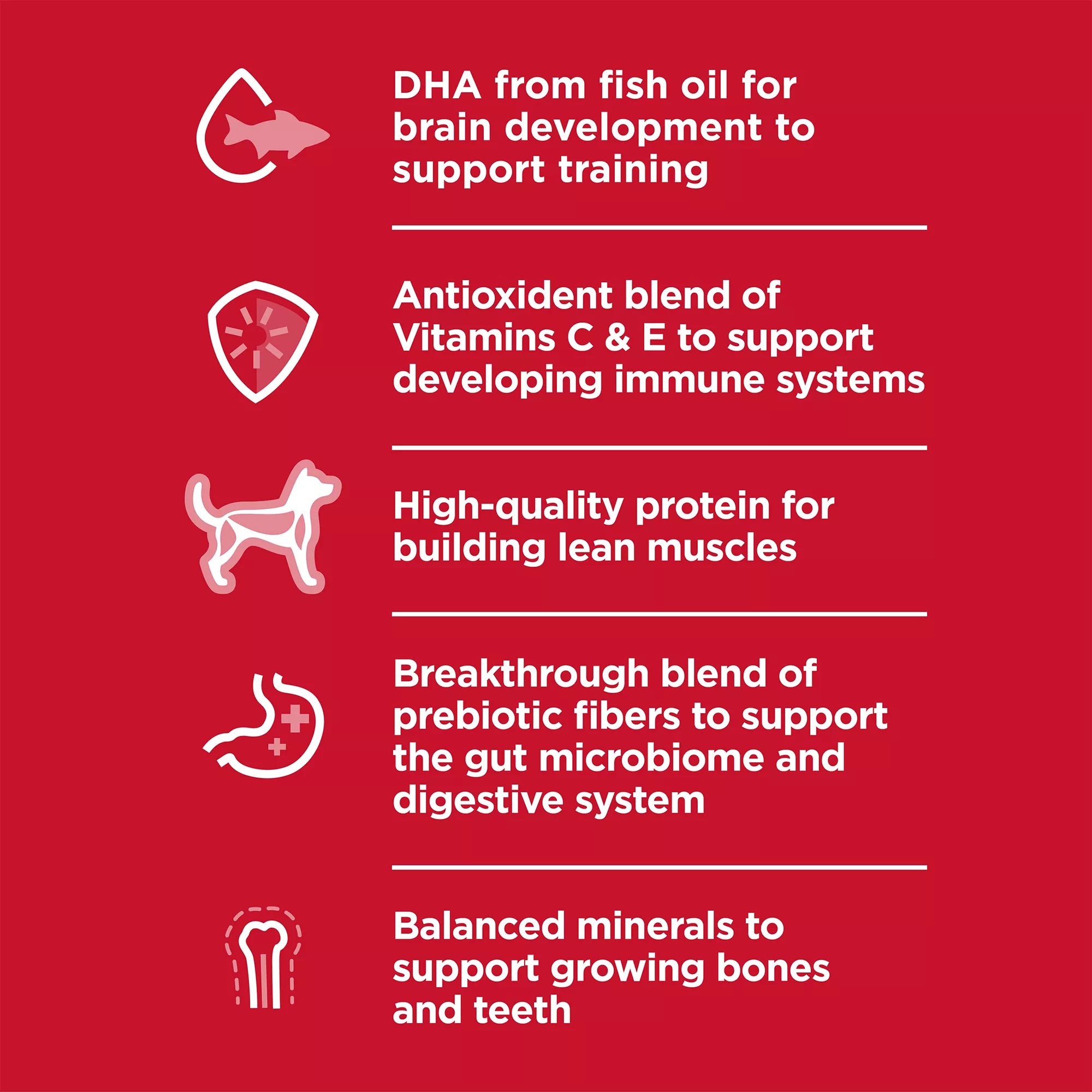 Hill's Science Diet Kitten Dy Food - Ocean Fish