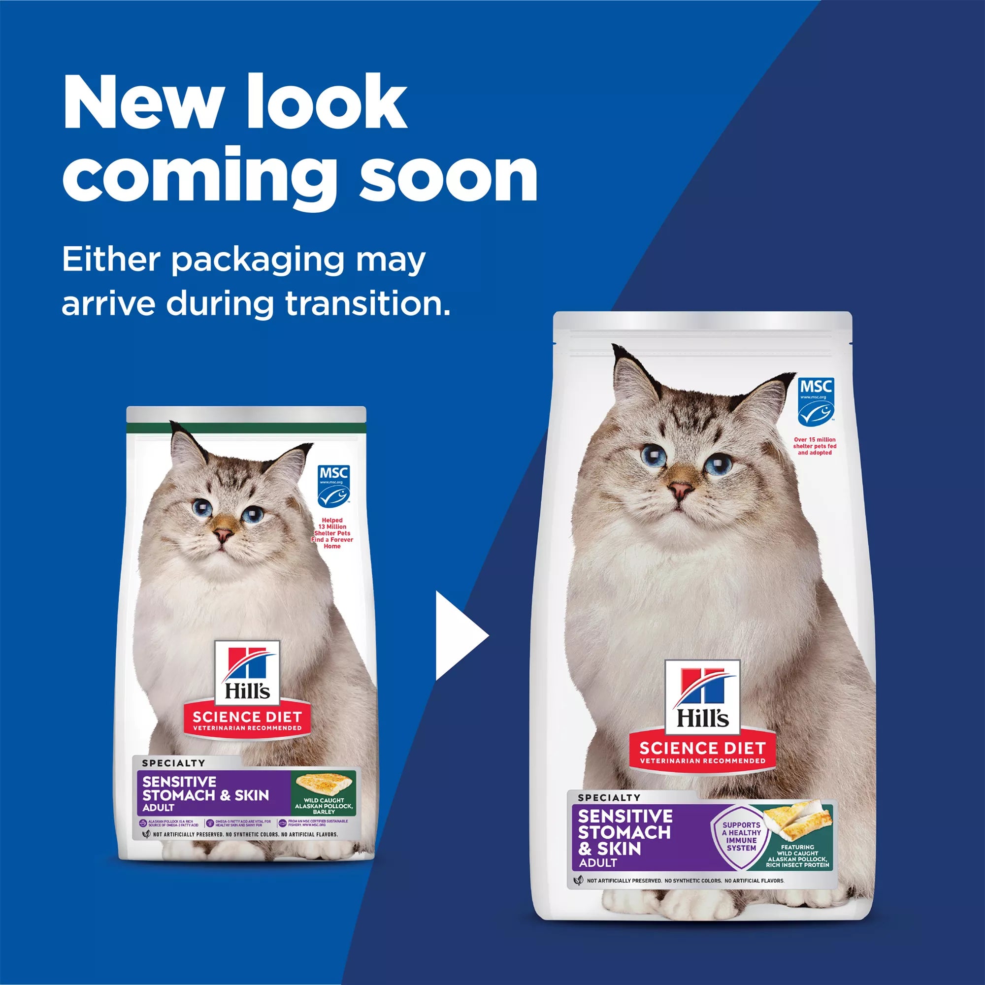 Hill's Science Diet Sensitive Skin & Stomach Food Adult Dry Cat Food - Pollock
