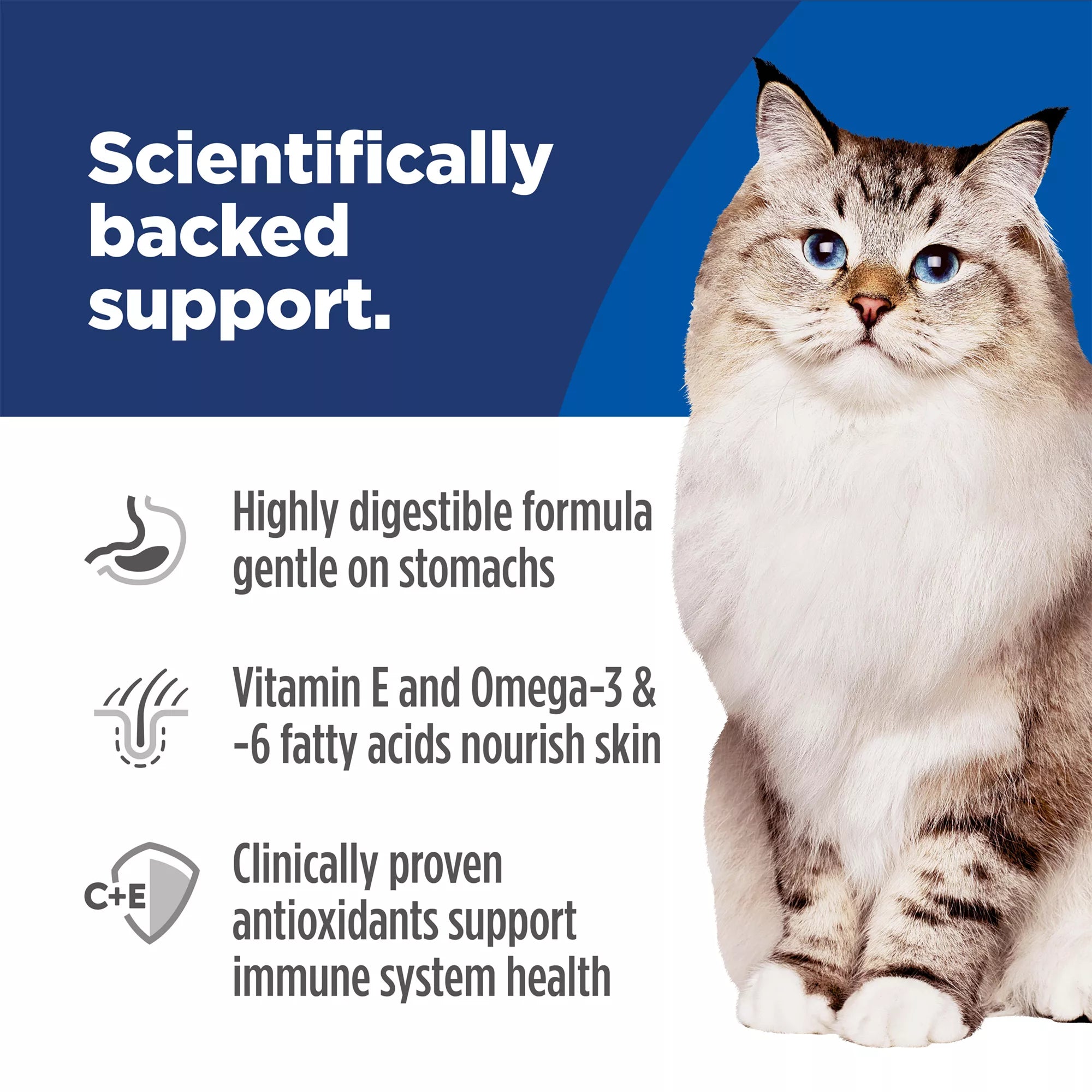 Hill's Science Diet Sensitive Skin & Stomach Food Adult Dry Cat Food - Pollock