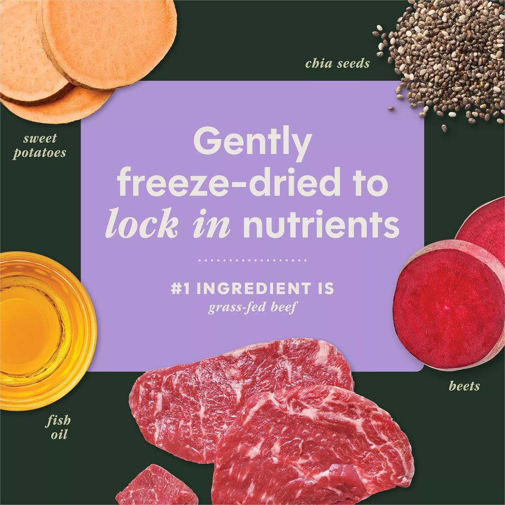 Instinct Raw Boost Mixers Multivitamin Freeze-Dried Adult Dog Food Topper - Raw, Grain-Free Pet Food, Beef