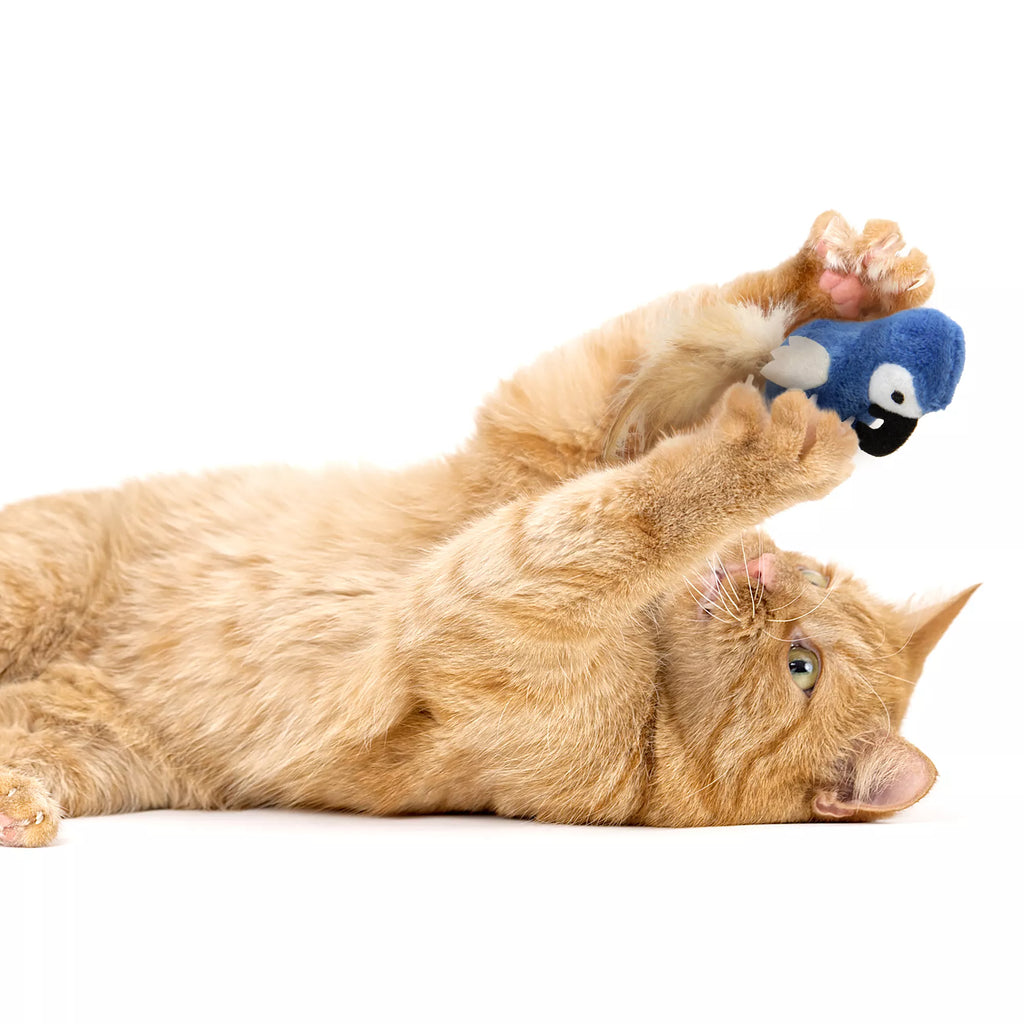 Instincts SmartyKat Chatty Chirp Cat Toy