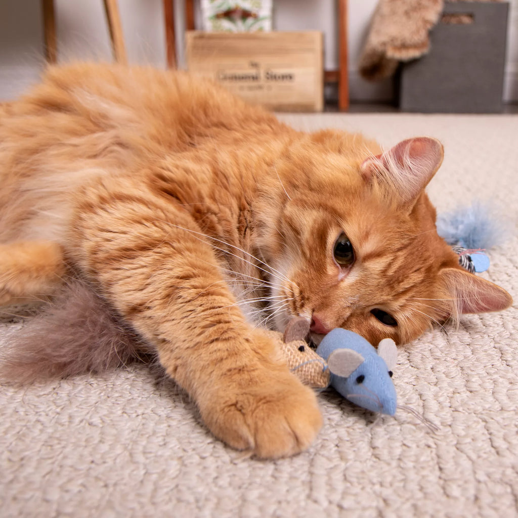 Instincts SmartyKat Catnip Caravan Cat Toy - 3 Pack