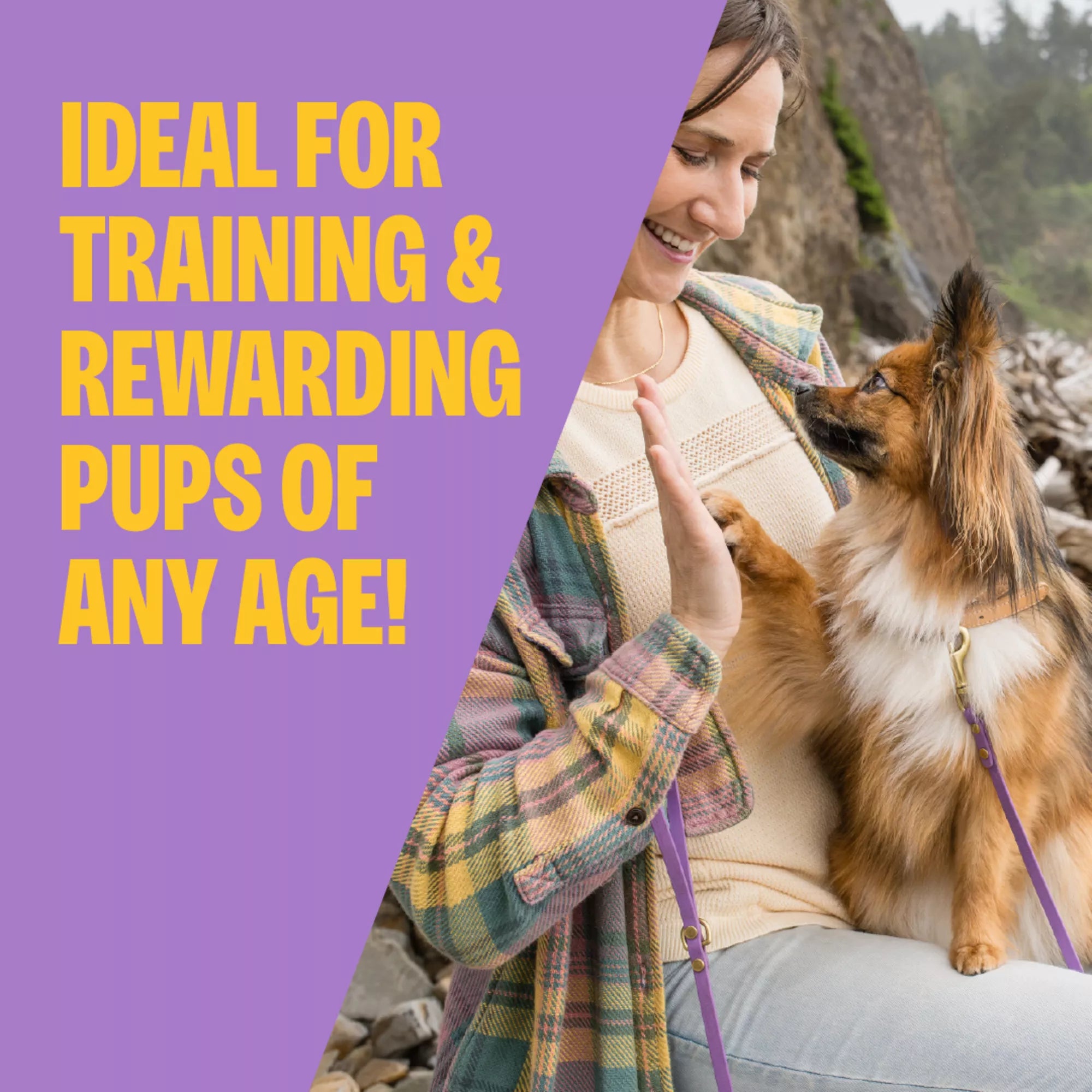 Wellness Soft Puppy Bites Dog Treats - Natural Pet Food, Lamb & Salmon