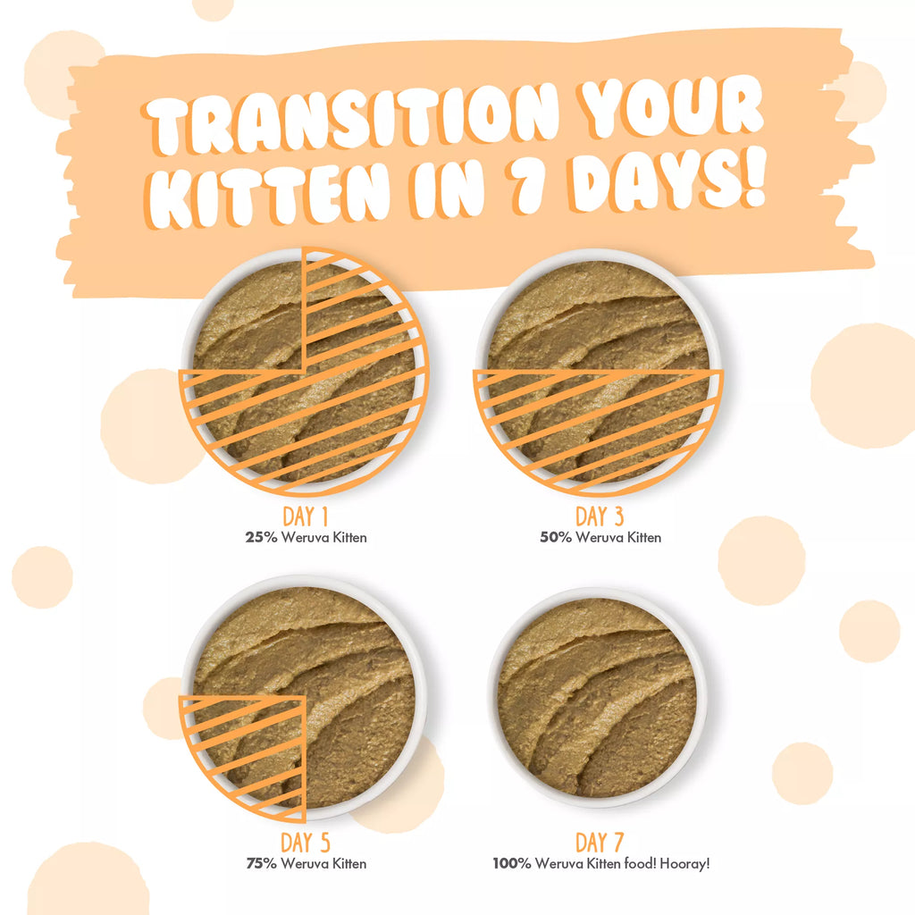 Weruva Kitten Wet Cat Food - 3 oz, Pate in a Hydrating Puree
