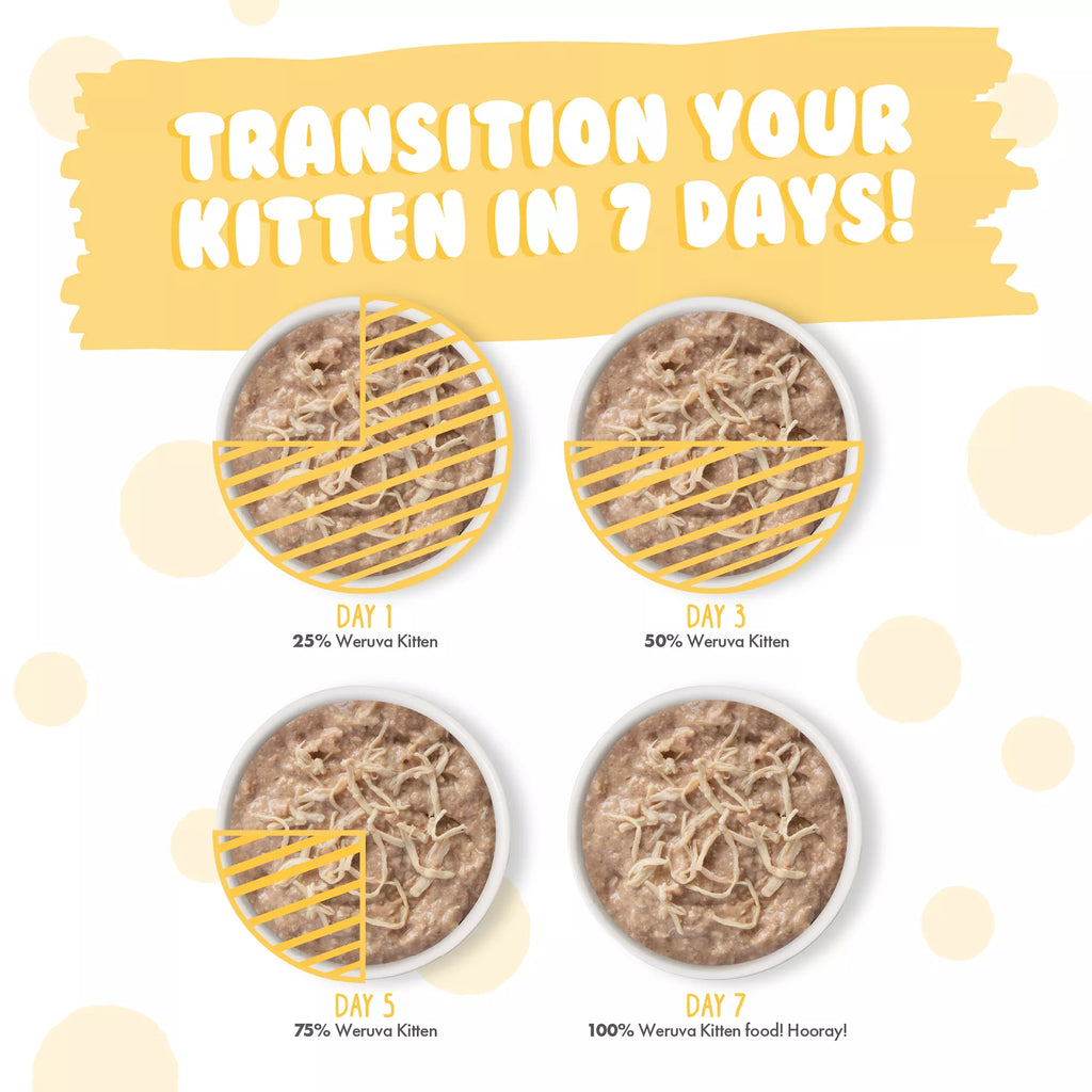 Weruva Kitten Wet Cat Food - 3 oz, Shreds in Au Jus