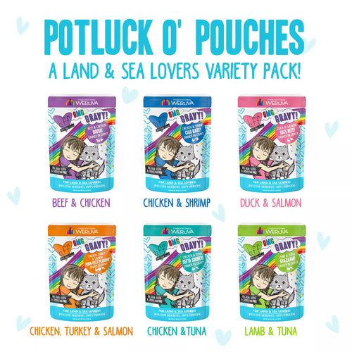 B.F.F. OMG Wet Pet Food in Gravy! For Land & Sea Lovers Potluck O' Pouches Wet Cat Food - Pet Food Variety Pack, 12ct