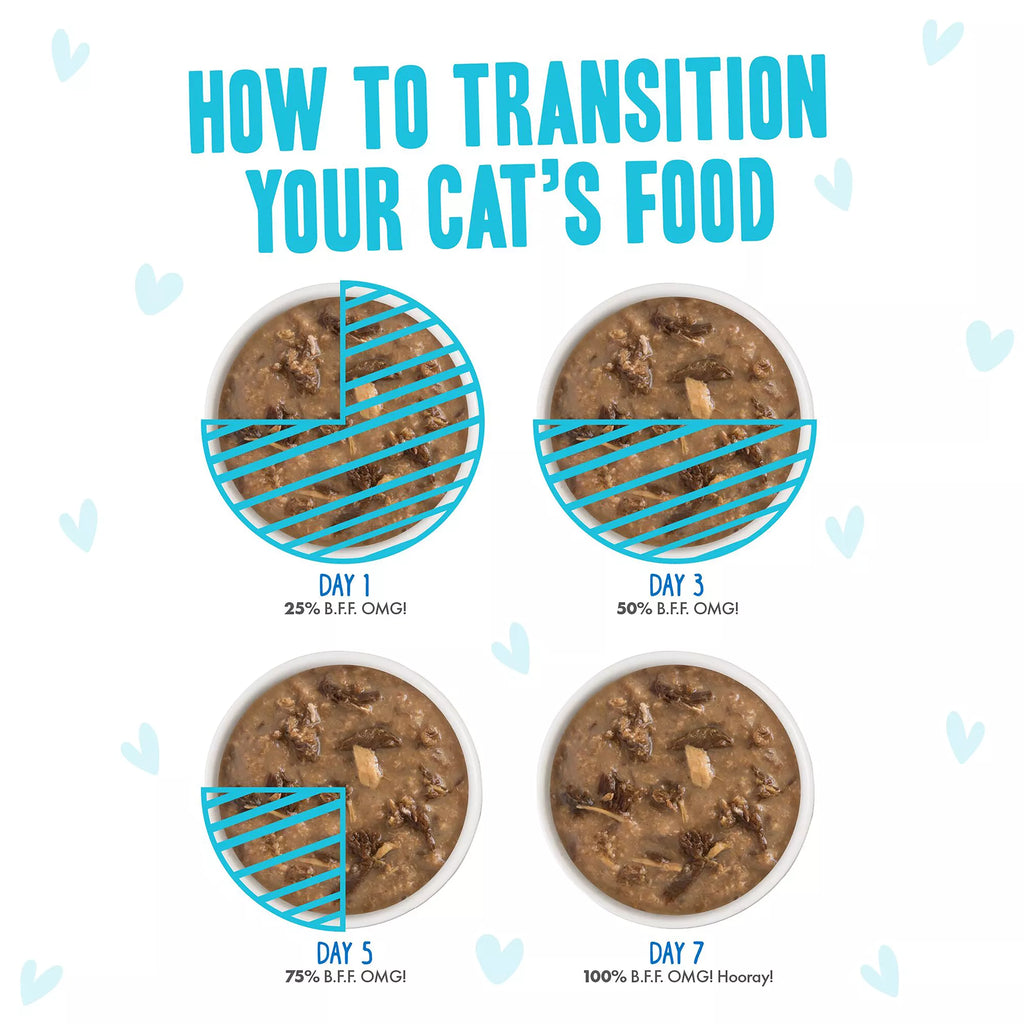 B.F.F. OMG Wet Pet Food in Gravy! For Land & Sea Lovers Potluck O' Pouches Wet Cat Food - Pet Food Variety Pack, 12ct