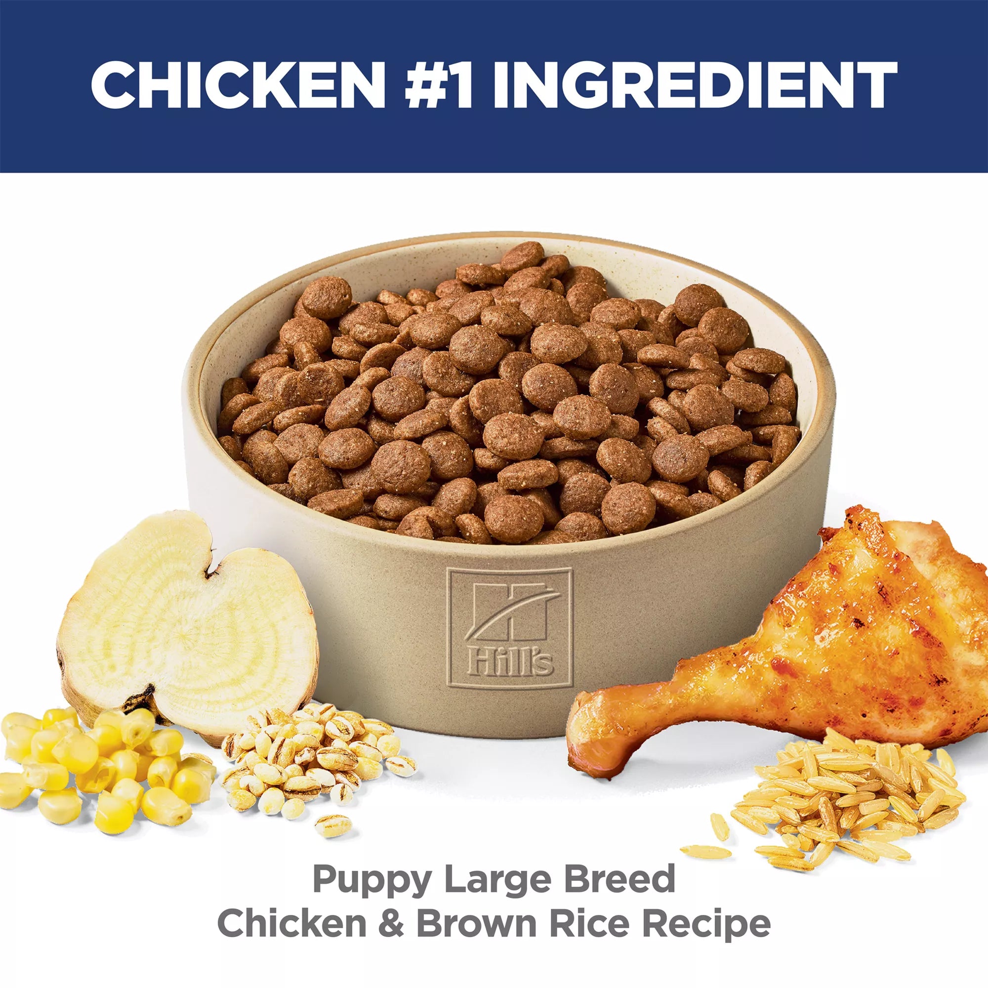 Hill's Science Diet Large Breed Puppy Dry Dog Food - Chicken & Brown Rice