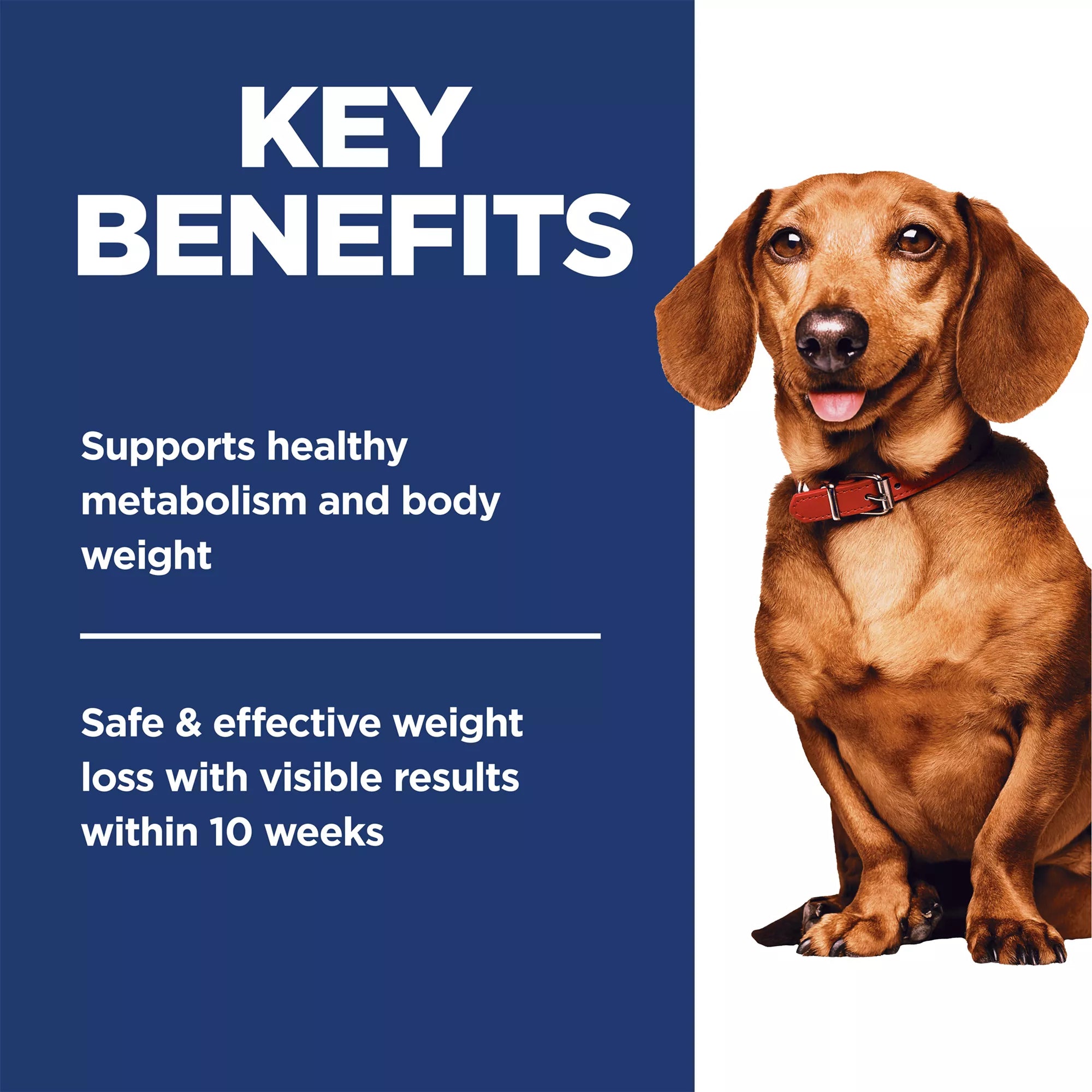 Hill's Science Diet Perfect Weight Small & Mini Adult Dog Food - Dry - Chicken Recipe