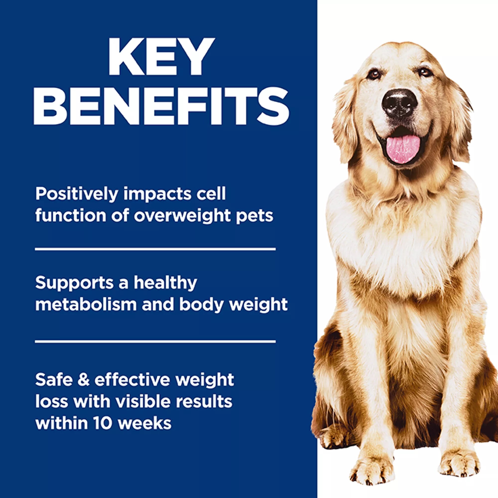 Hill's Science Diet Perfect Weight Adult Dog Food - Dry - Chicken
