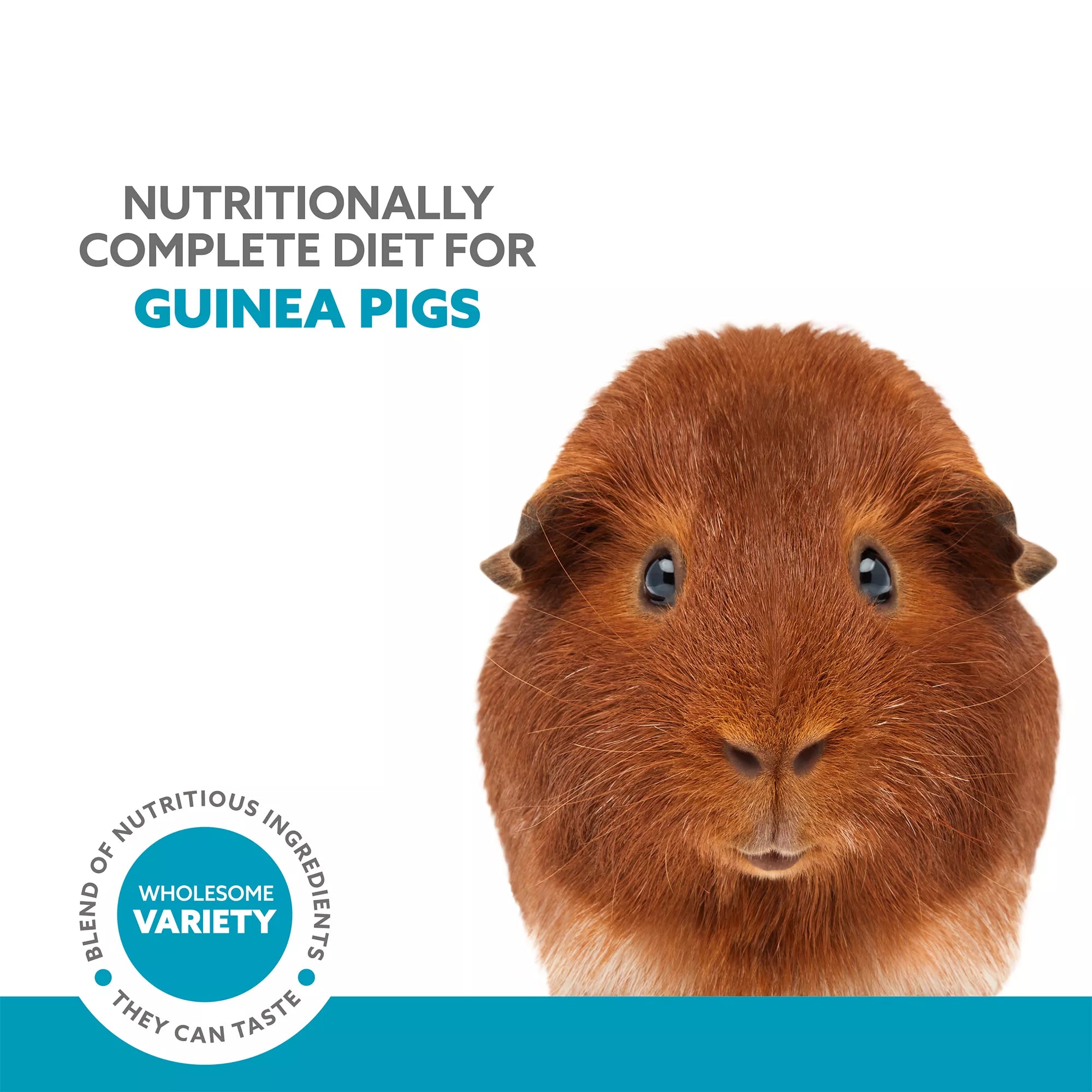 Full Cheeks Guinea Pig Foraging Diet