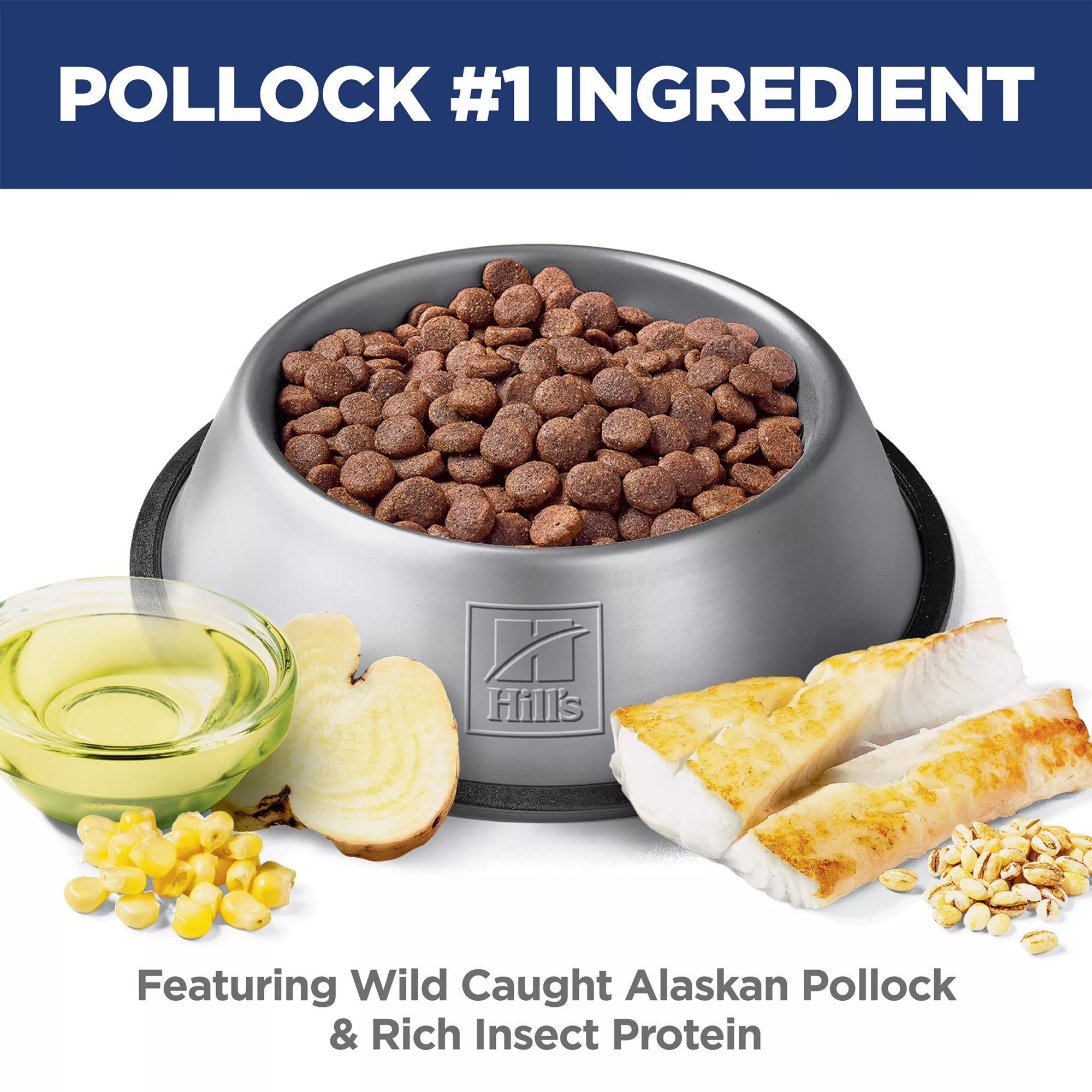 Hill's Science Diet Sensitive Skin & Stomach Food Adult Dog Food - Dry - Alaskan Pollock
