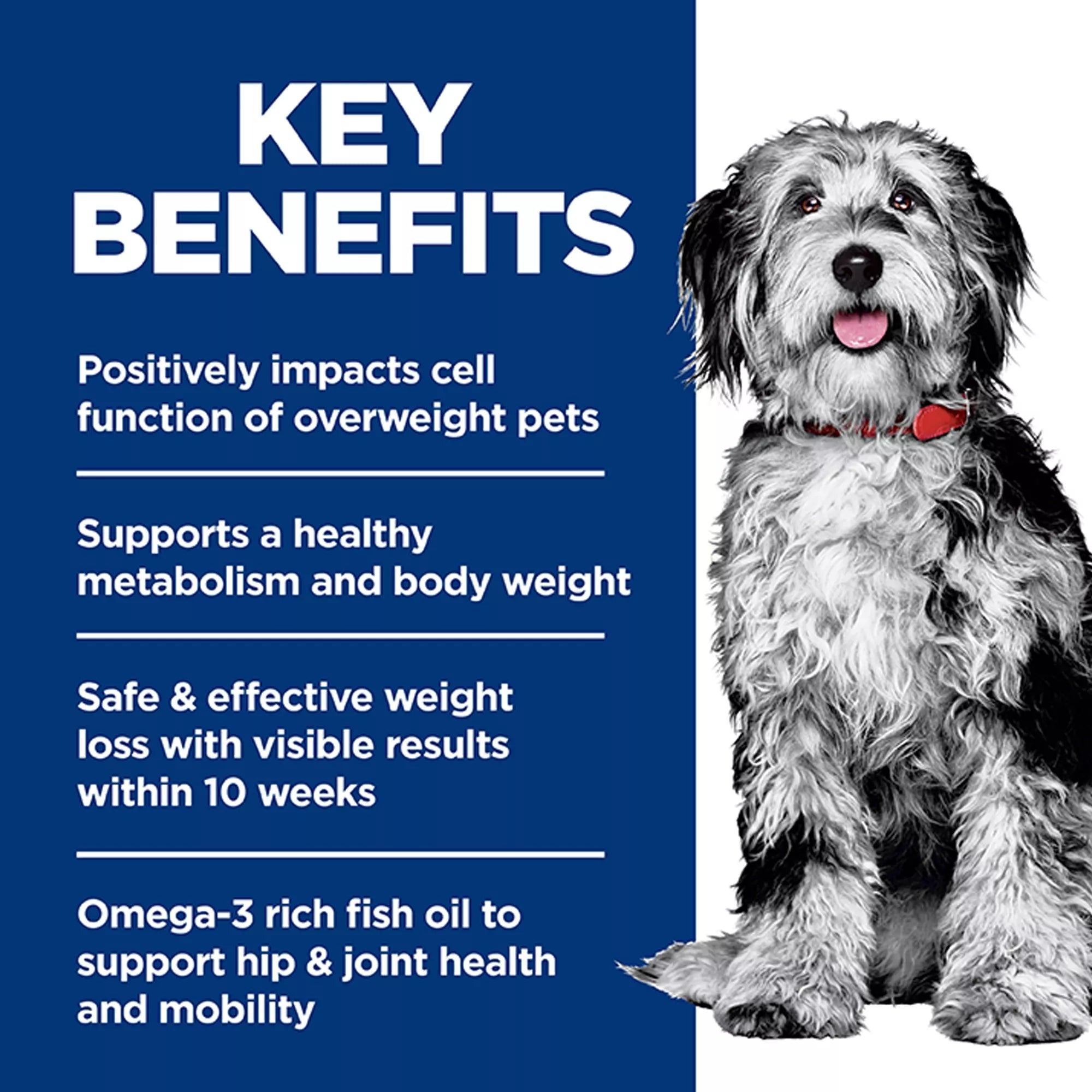 Hill's Science Diet Perfect Weight & Joint Support Adult Dog Food - Dry - Chicken & Brown Rice