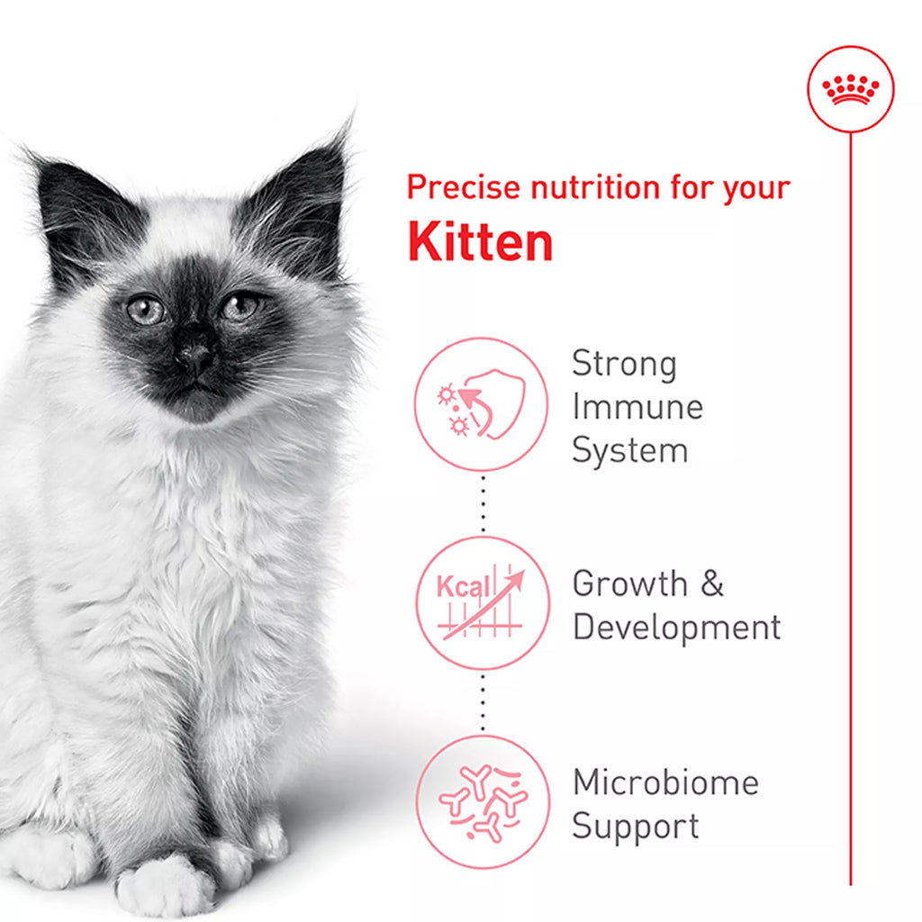 Royal Canin Feline Health Nutrition Young Kitten Dry Cat Food