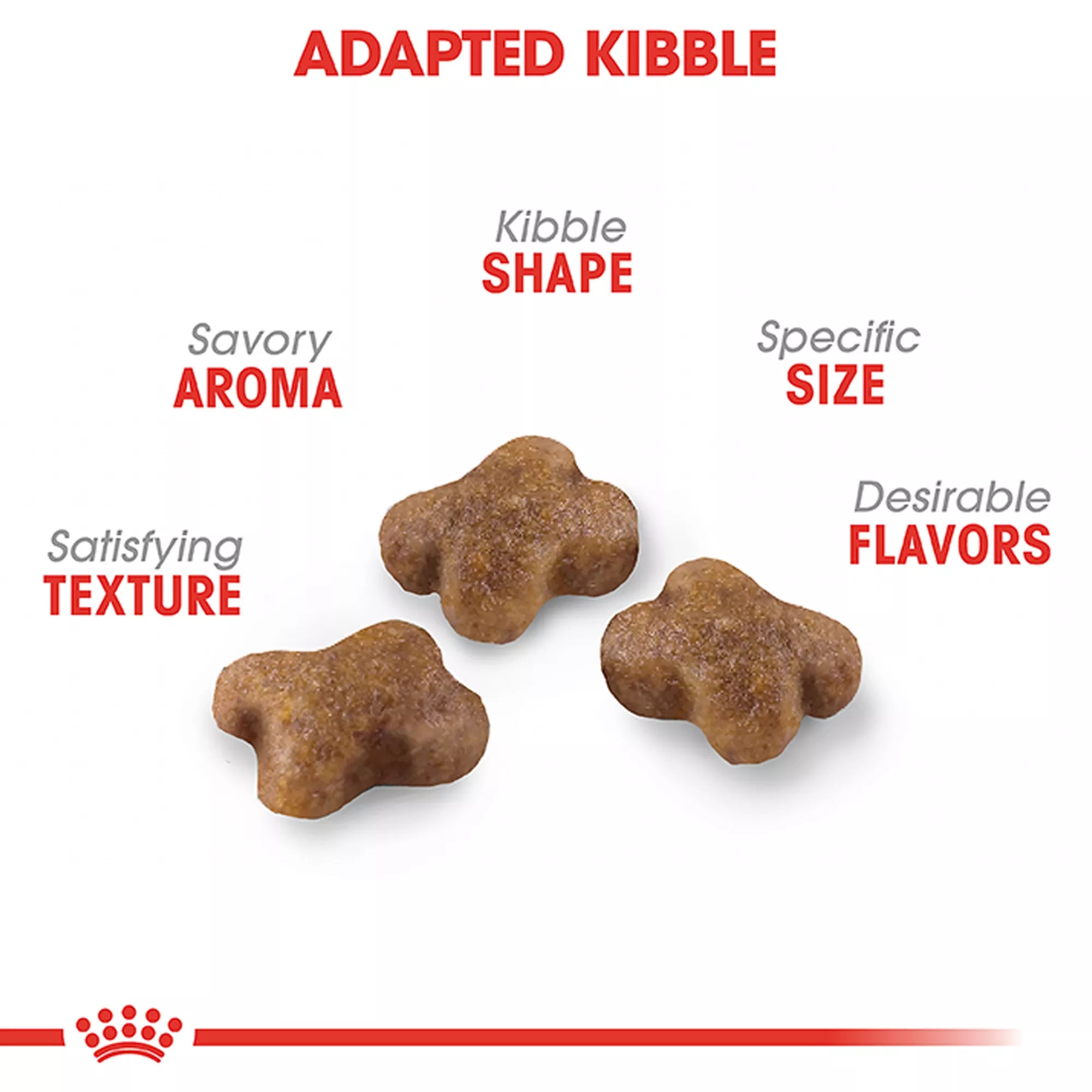 Royal Canin Feline Health Nutrition Young Kitten Dry Cat Food