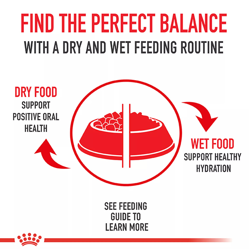 Royal Canin Feline Health Nutrition Young Kitten Dry Cat Food