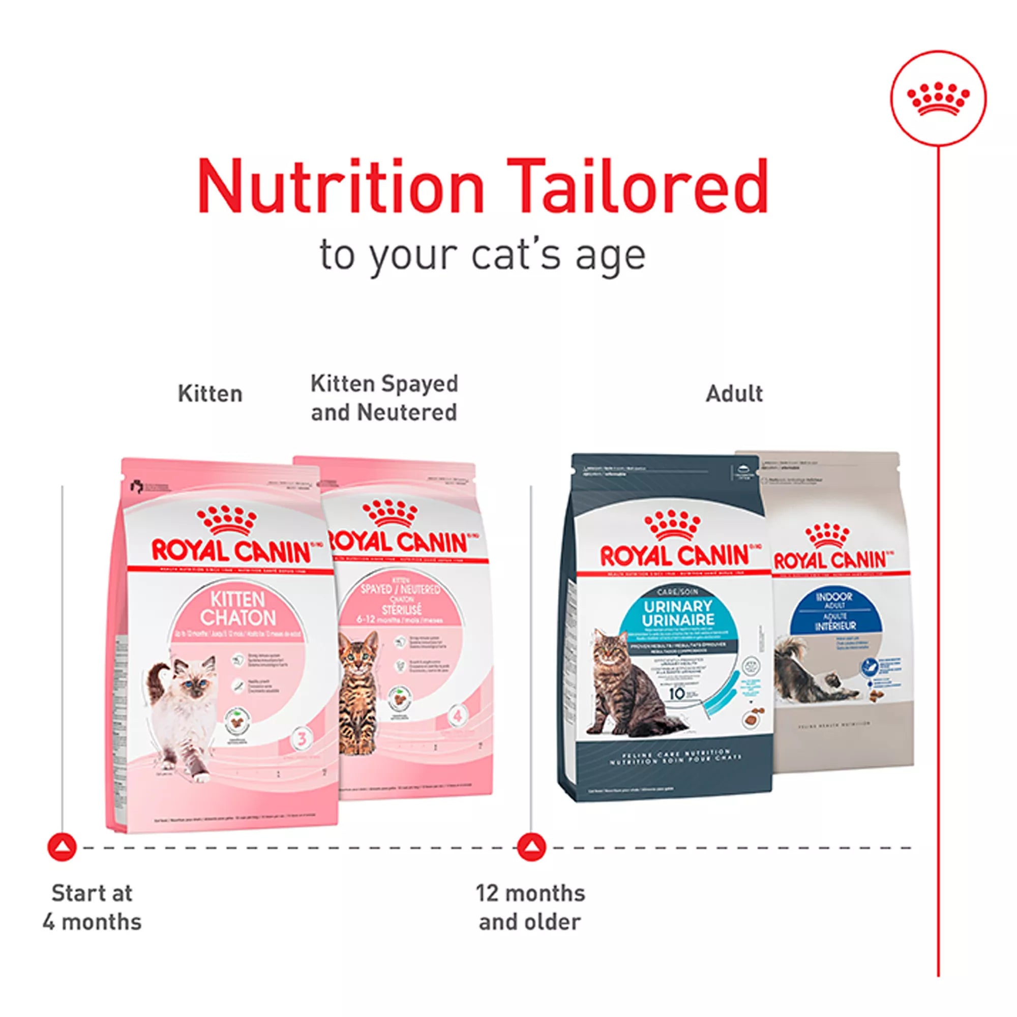 Royal Canin Feline Health Nutrition Young Kitten Dry Cat Food