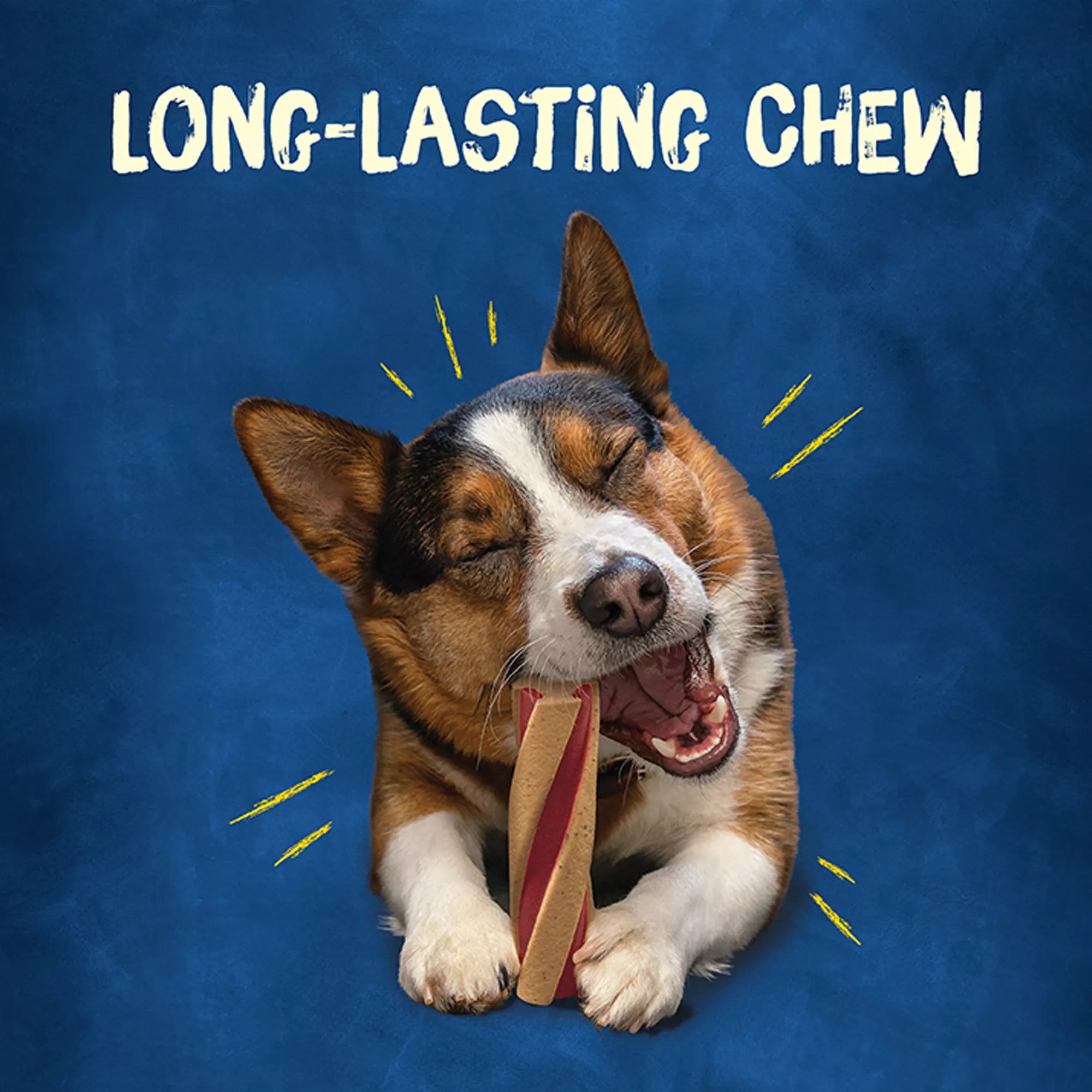 Purina Busy Bone with Beggin Twist'd Small Medium Adult Dog Chew Treats - Bacon