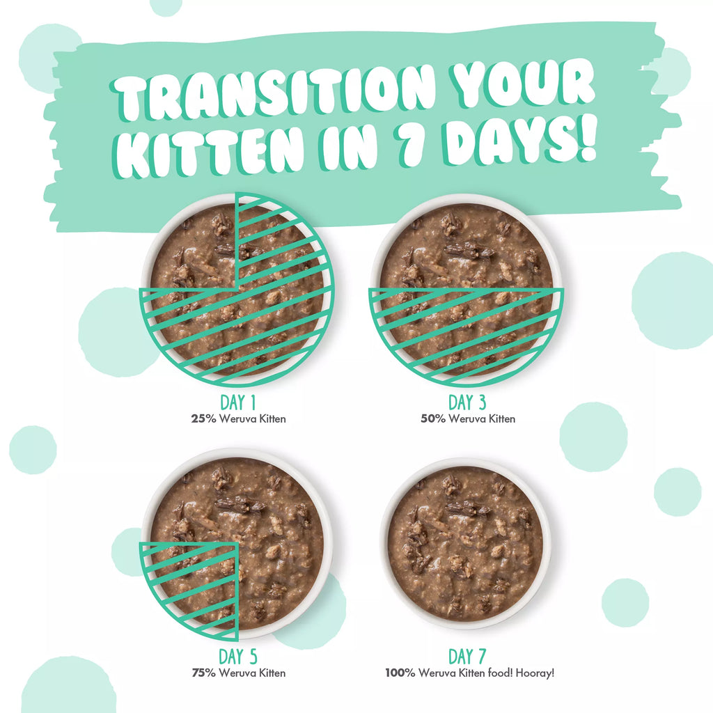 Weruva Kitten Wet Cat Food - 3 oz, Minced in Wet Pet Food in Gravy