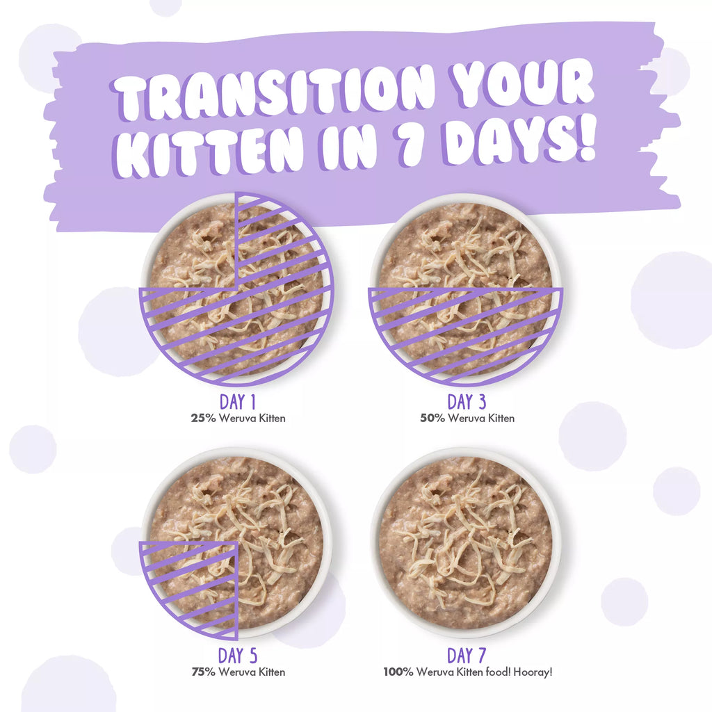 Weruva Kitten Can Jam! Wet Cat Food - Pet Food Variety Pack, 12ct