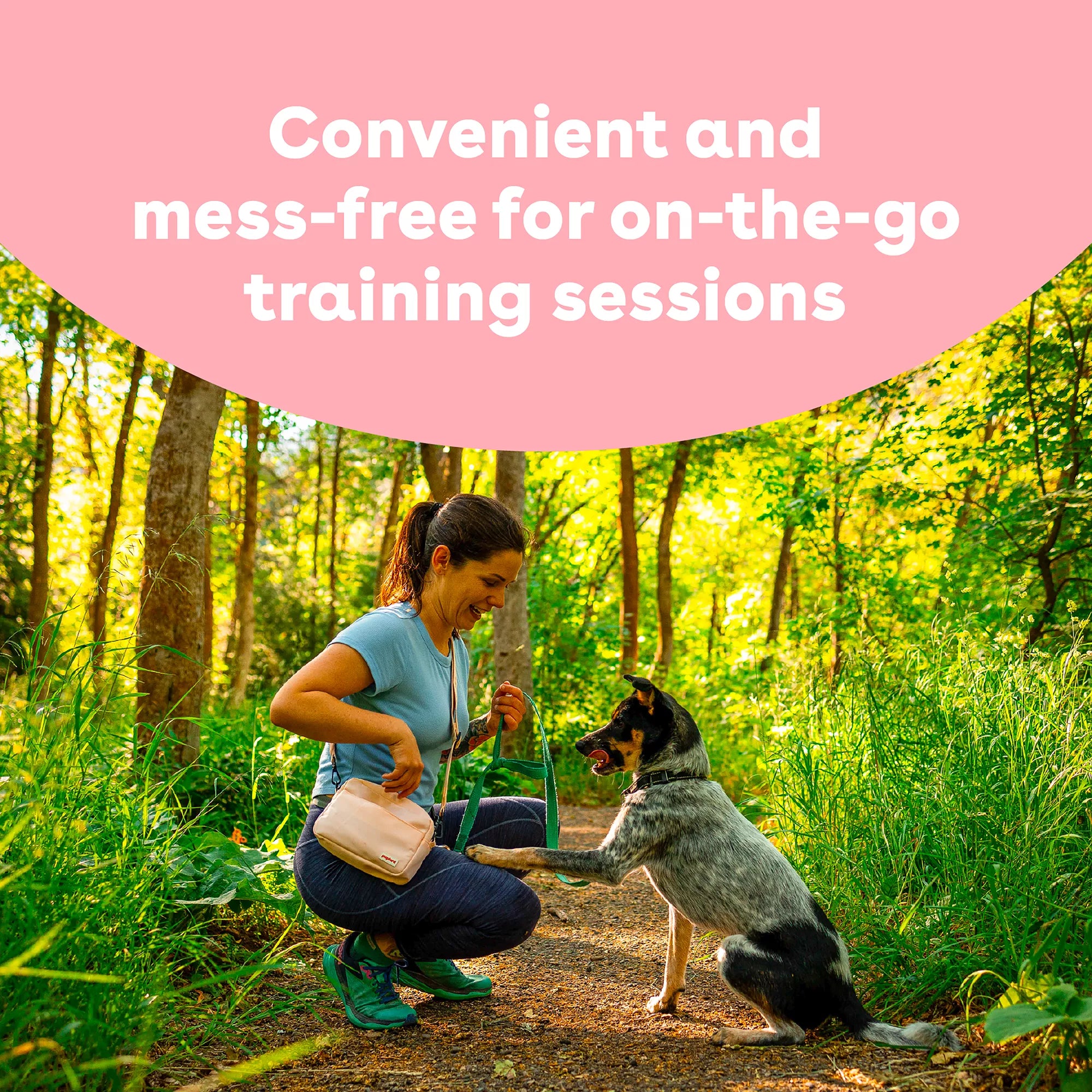 Pupford Freeze-Dried Dog Training Treat - Beef