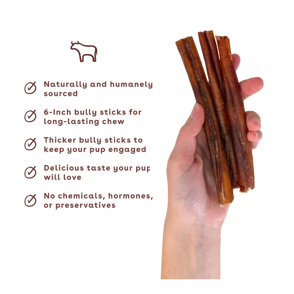 Pupford Bully Stick Dog Chew Treat - Beef