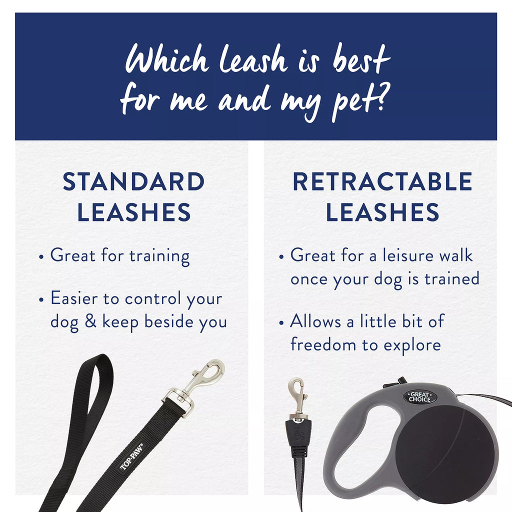 Top Paw Standard Dog Leash: 6-ft long