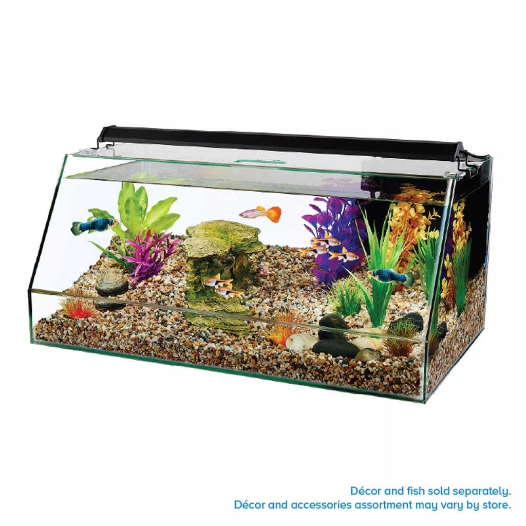 Top Fin 10 Gallon Angled Aquarium