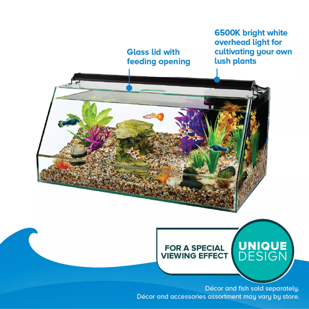 Top Fin 10 Gallon Angled Aquarium
