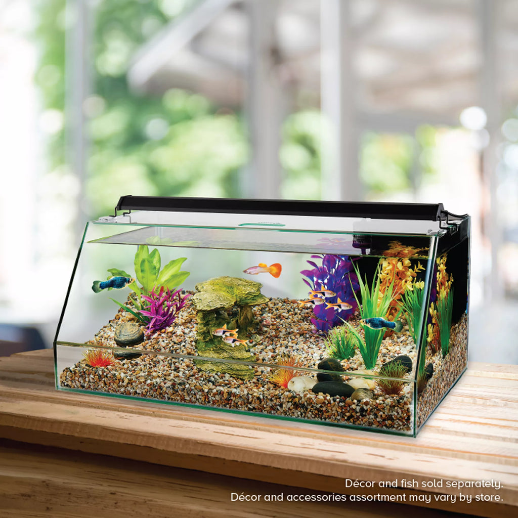 Top Fin 10 Gallon Angled Aquarium