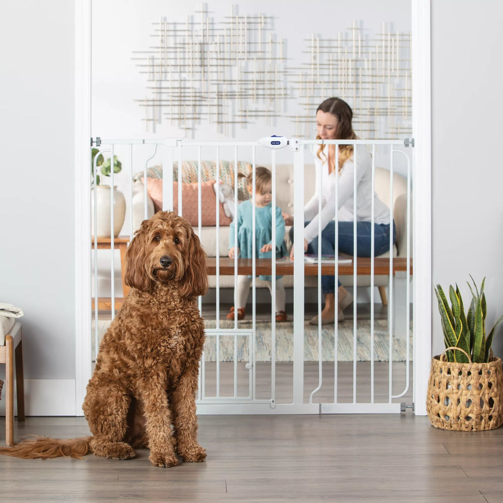 Top Paw Extra-Tall Walk-Through Pet Gate