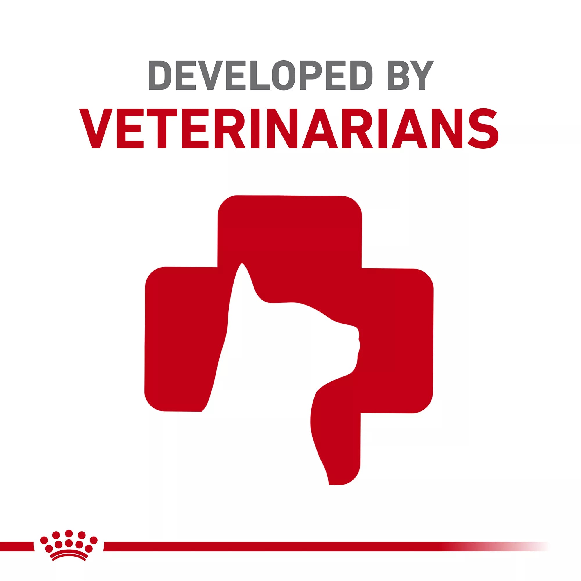 Royal Canin Indoor 7+ Adult Dry Cat Food
