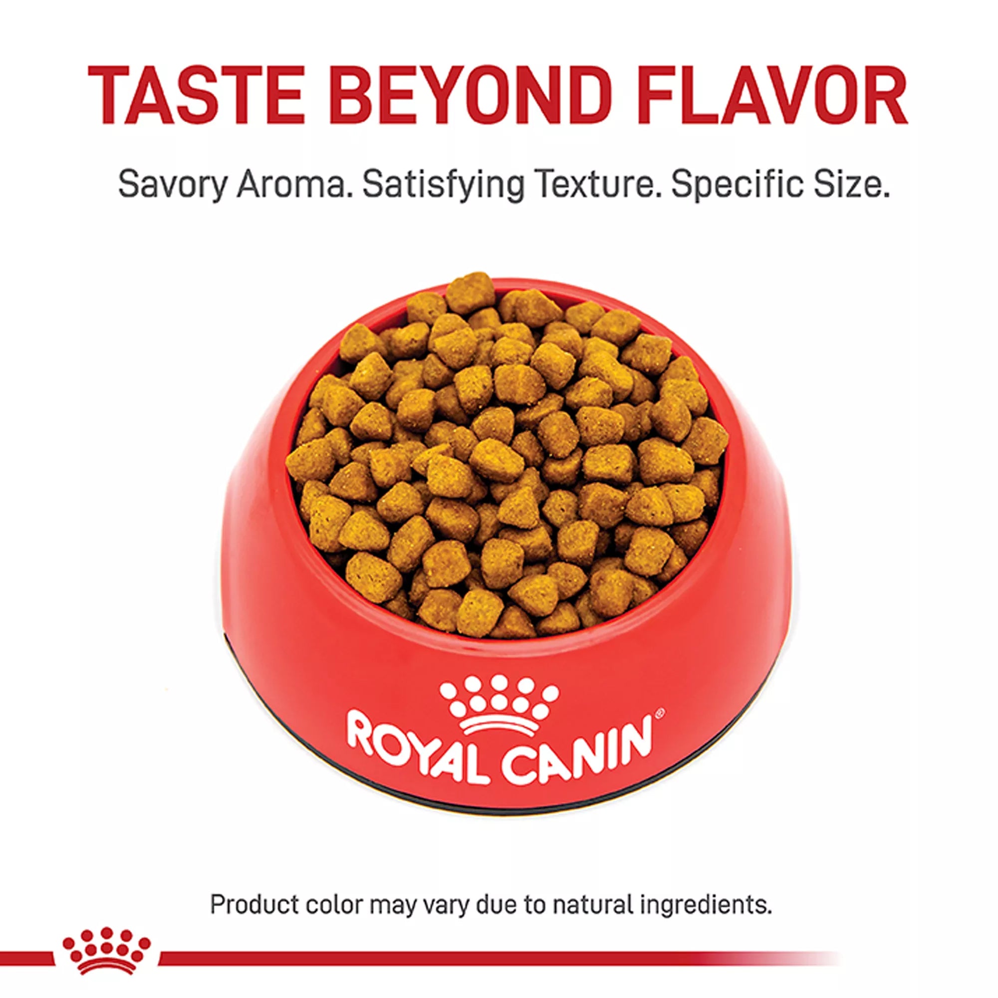 Royal Canin Ragdoll Dry Cat Food 7LB