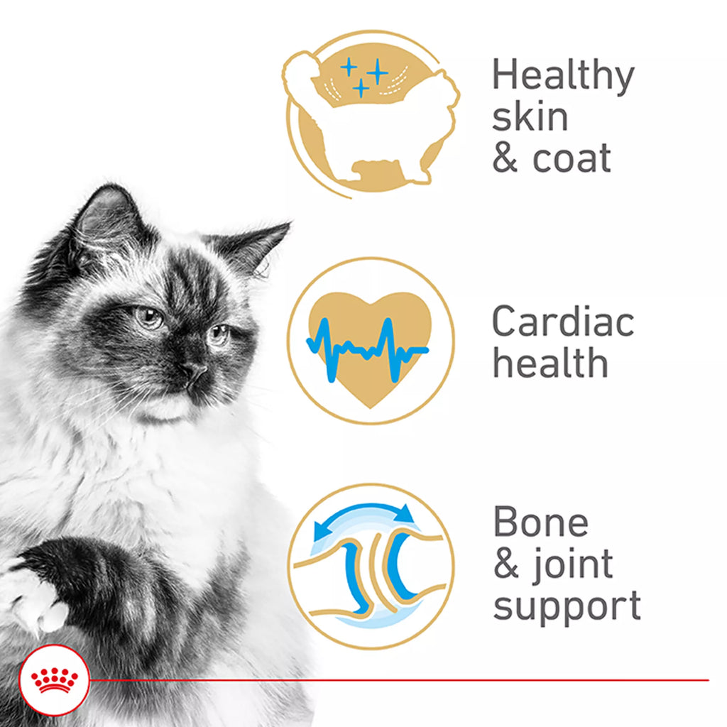 Royal Canin Ragdoll Dry Cat Food 7LB