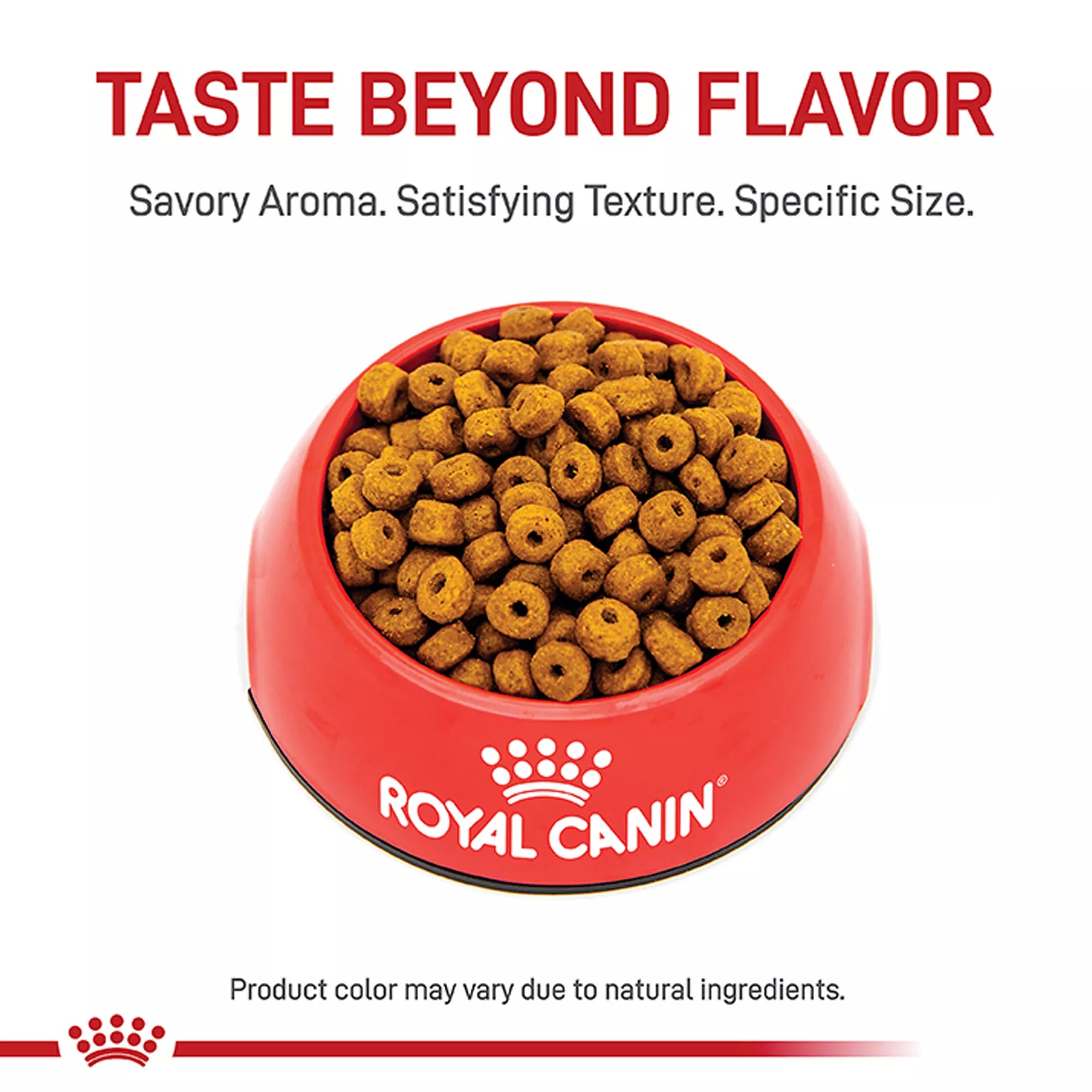Royal Canin Siamese Dry Cat Food 6LB